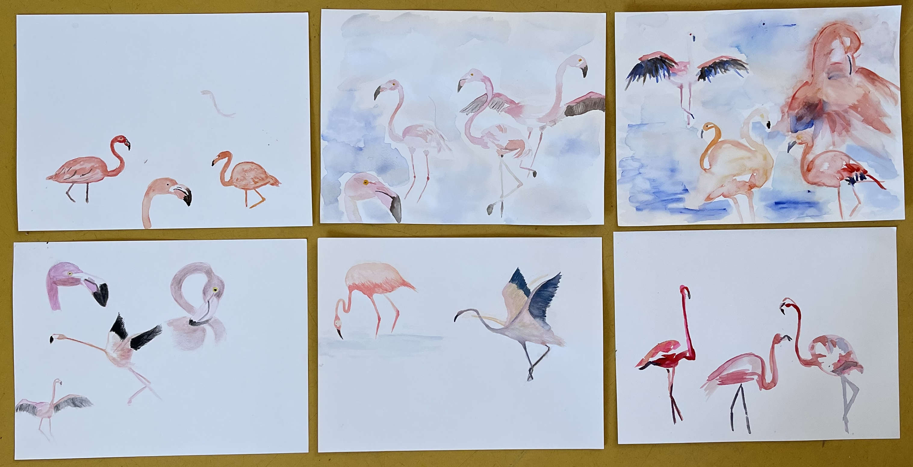 Flamingos - travaux du août 2024                      