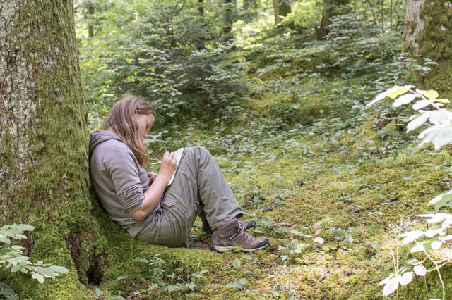 Écrire les sens au jardin : l'ouïe