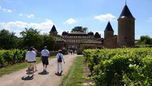 Château de Chasselas : accès visiteurs le Clos