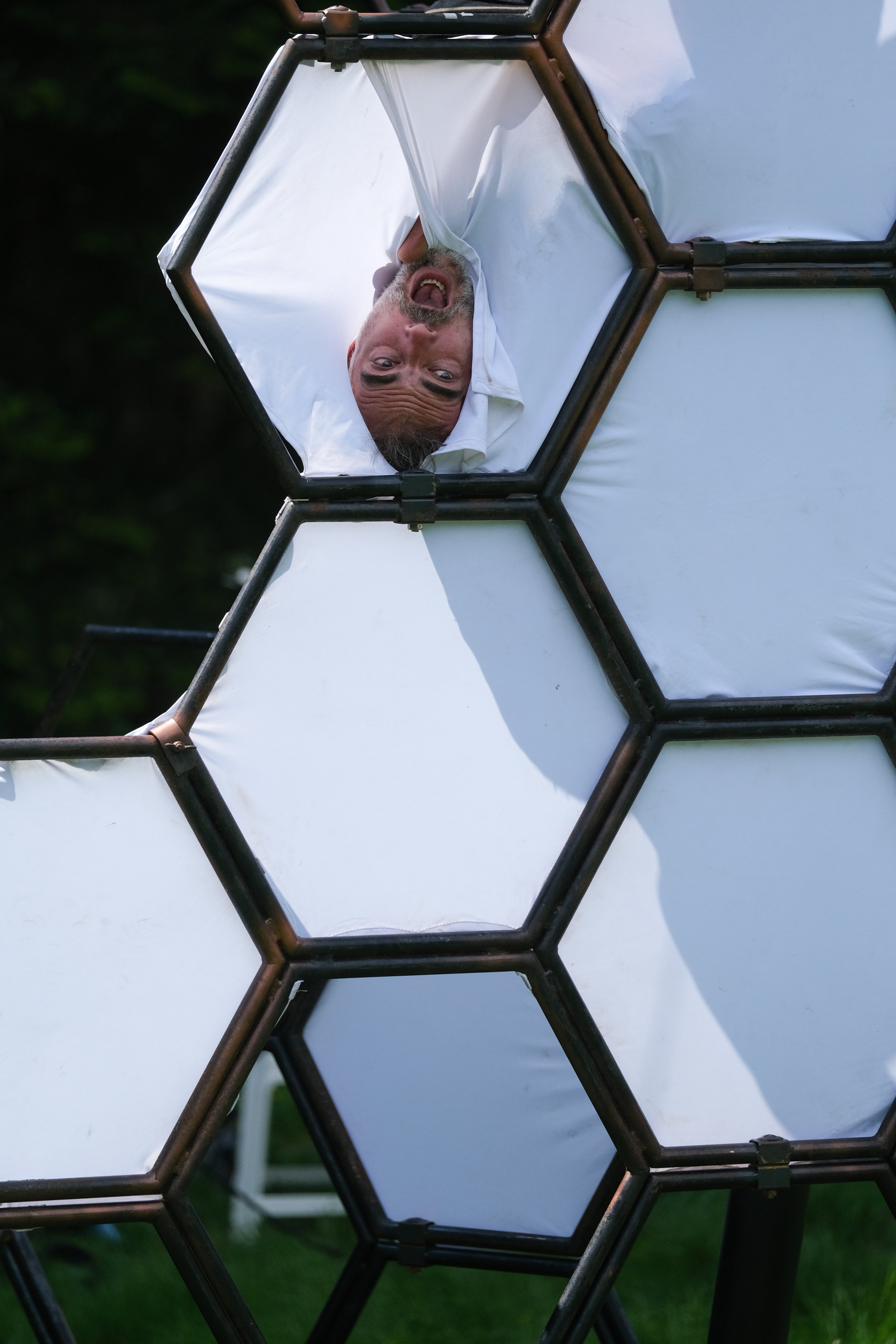 FÖDOSÖKANDE BI (Alive) 