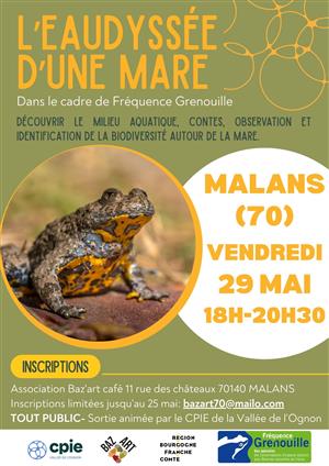L'eaudyssée d'une mare