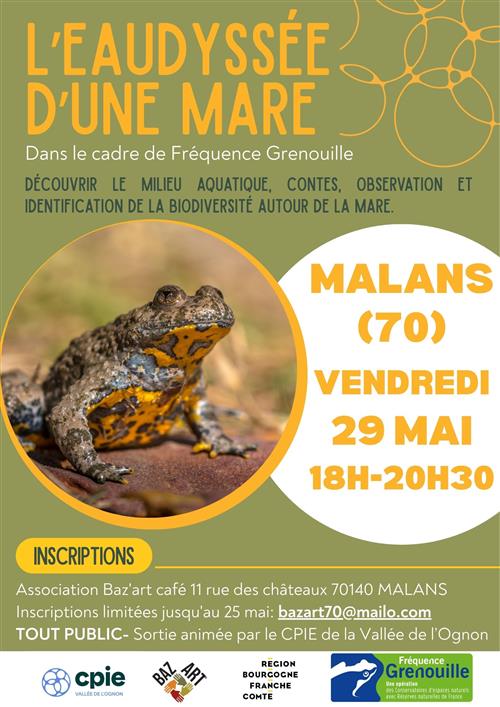L'eaudyss&eacute;e d'une mare