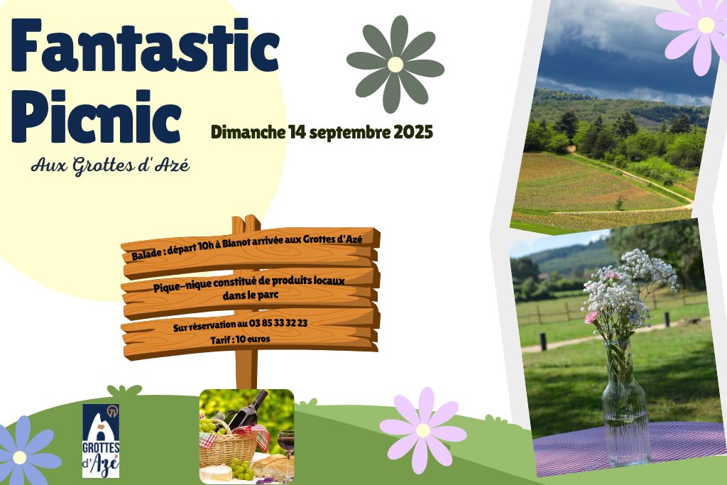 Fantastic Picnic 
