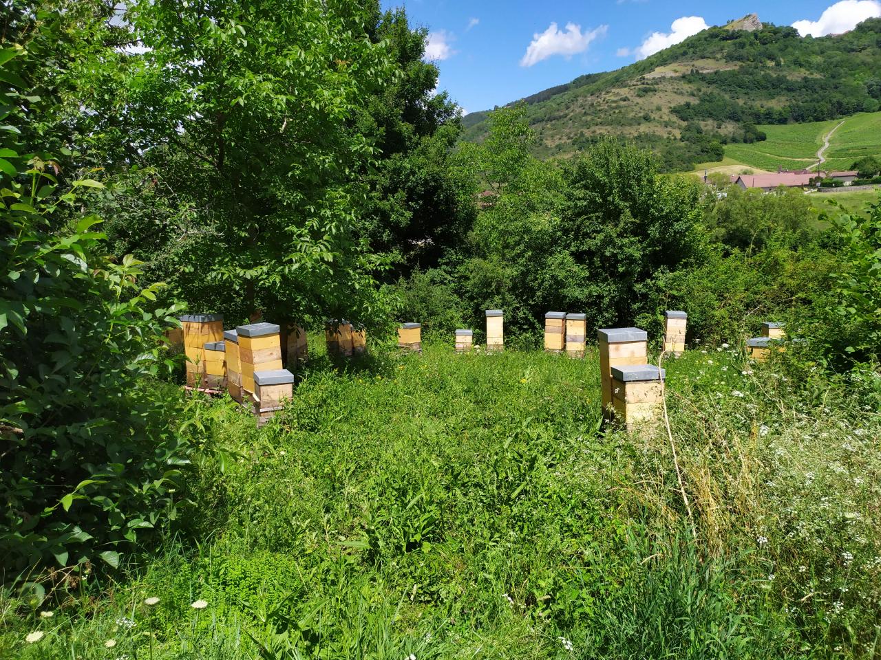 Ferme de Chantemerle 2024 (4)