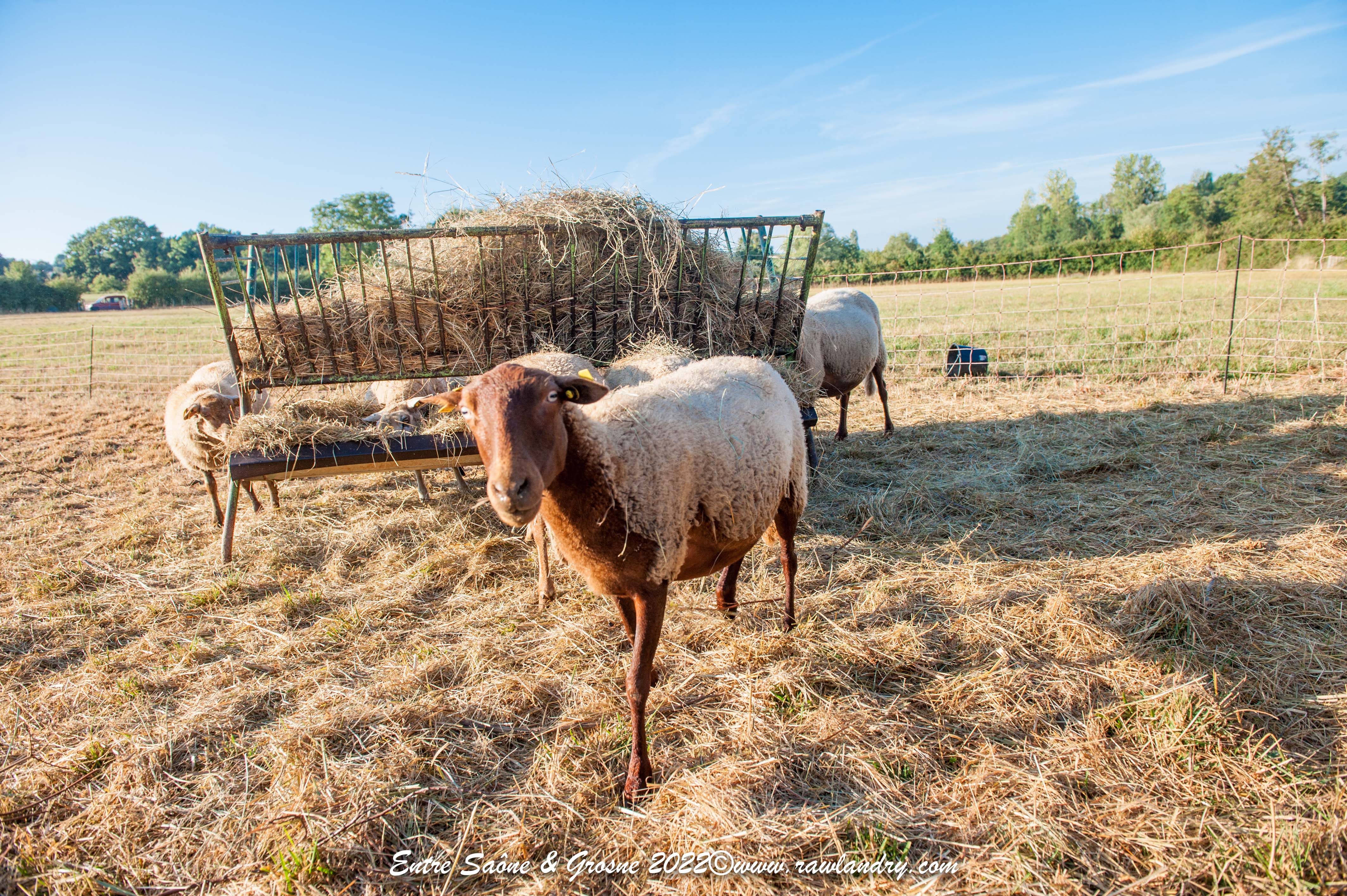 Ferme de la Condemine