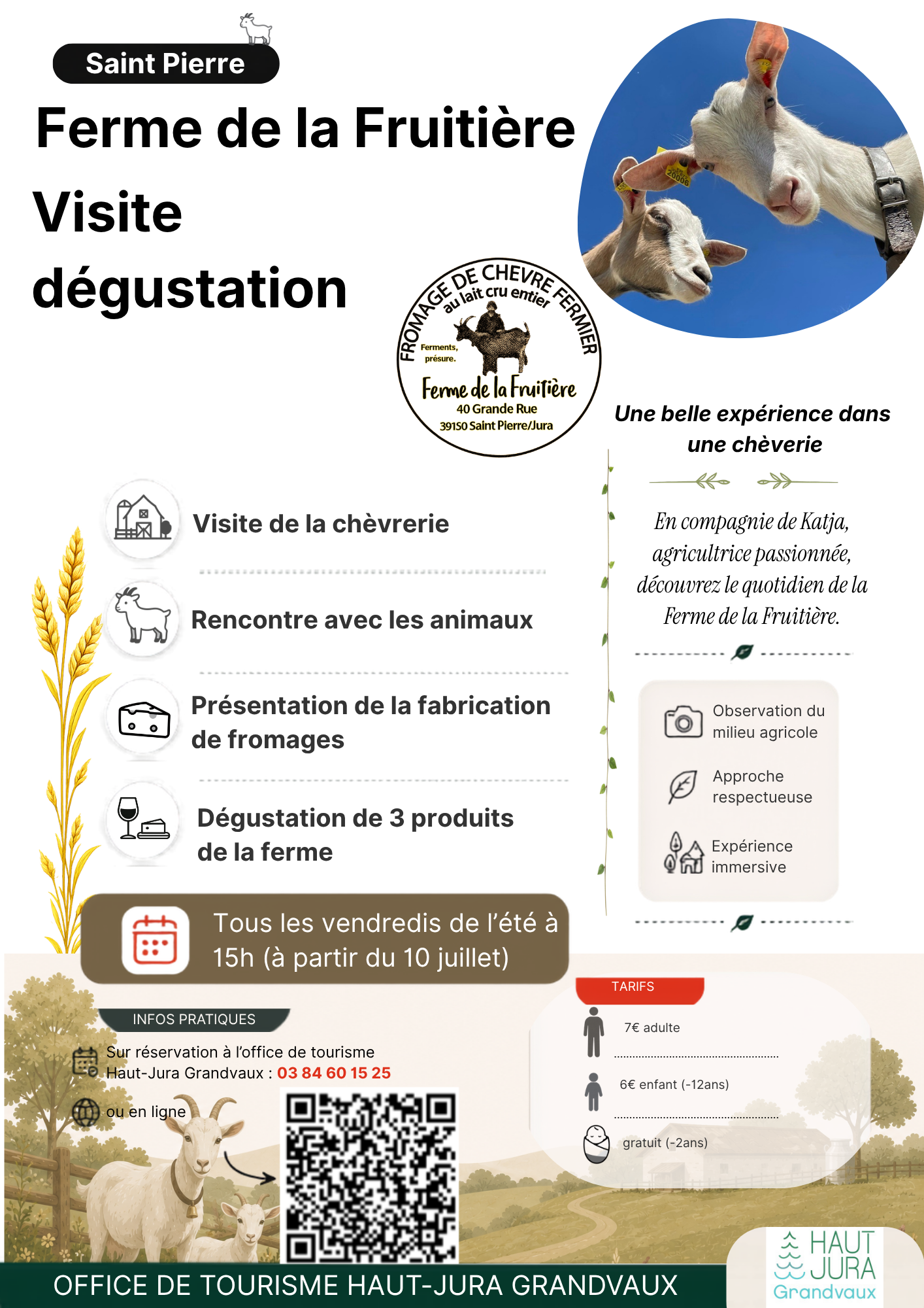 Média additionnel 2