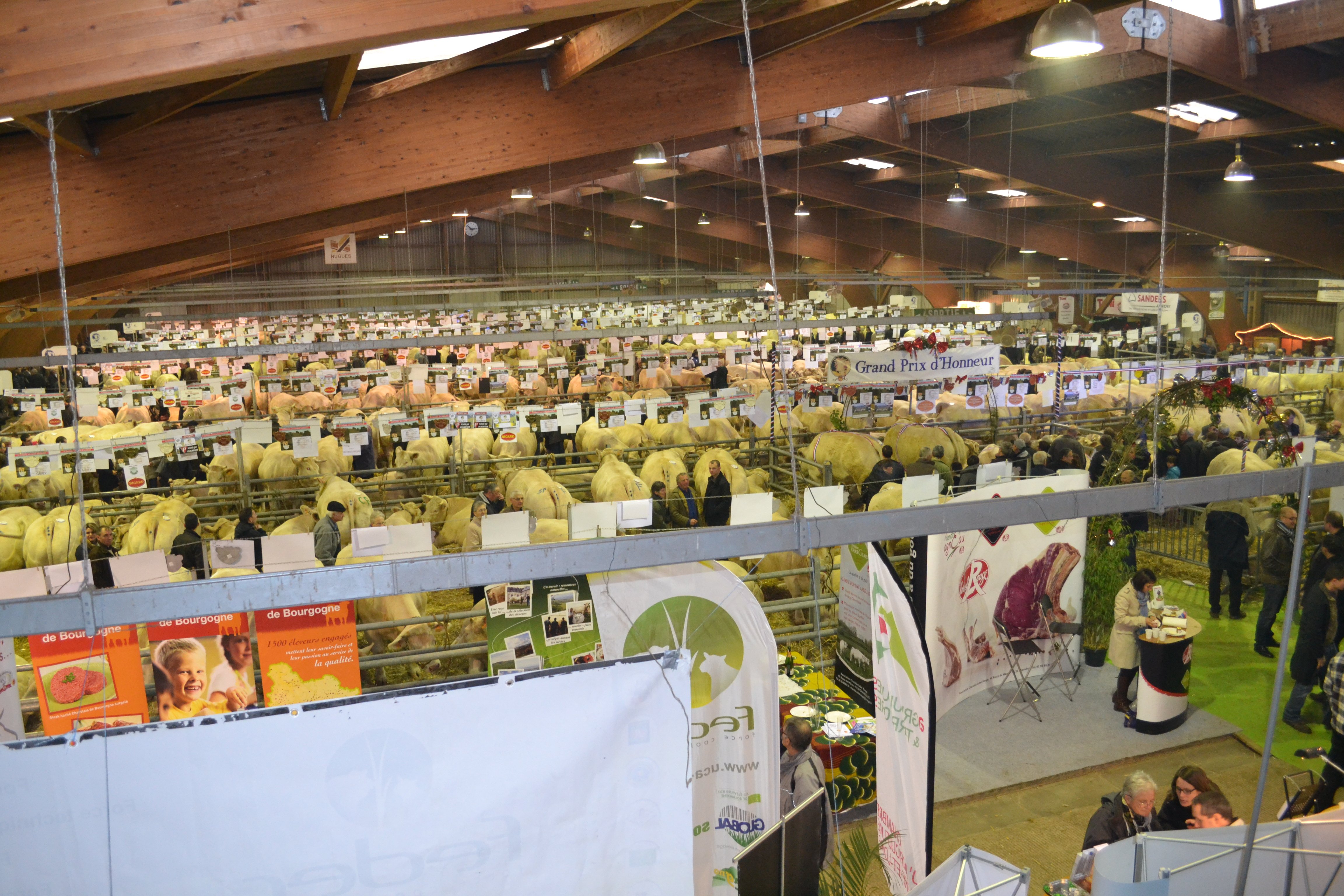 Festival du boeuf 2014
