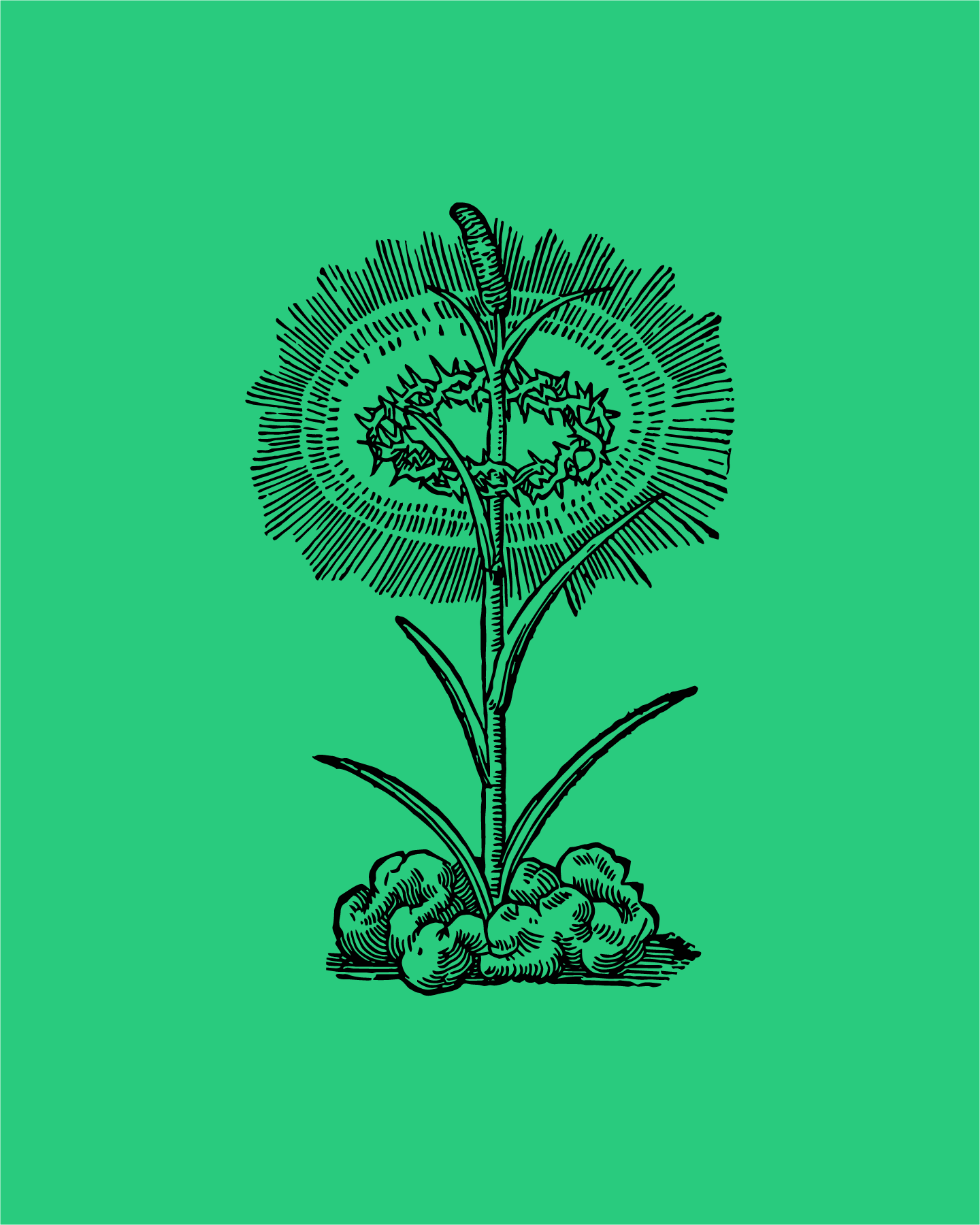 Nisi Dominus / Festival international d'opéra baroque