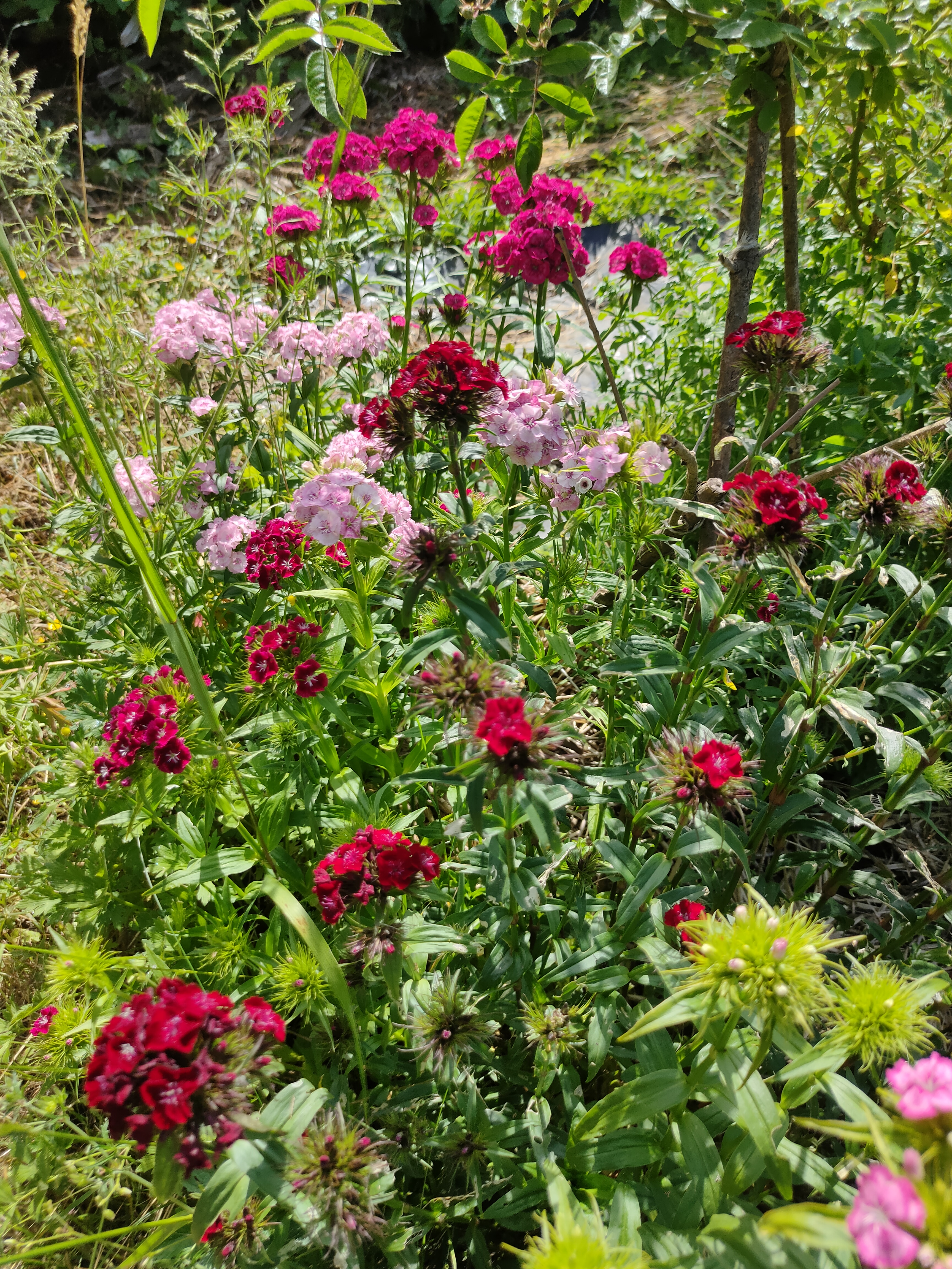 Atelier au jardin