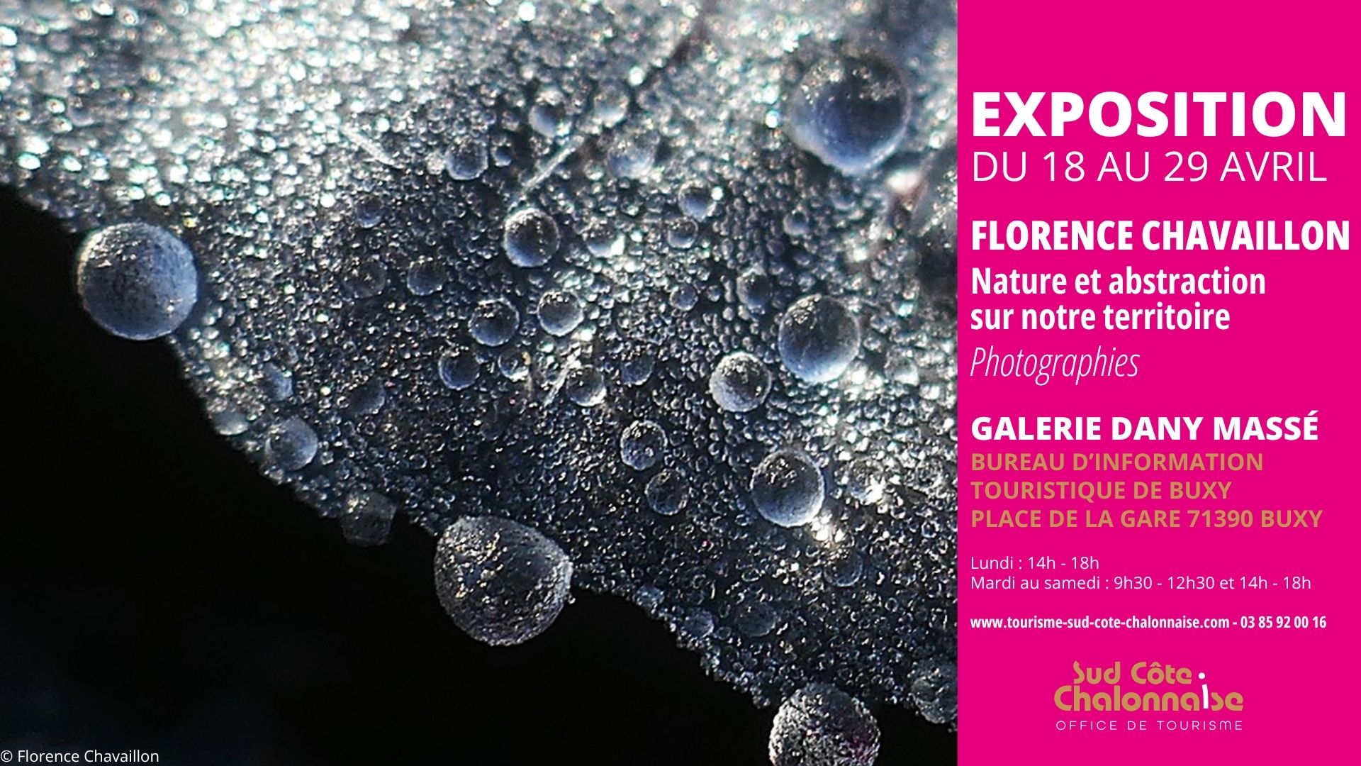 Florence Chavaillon - Nature et abstraction sur notre territoire