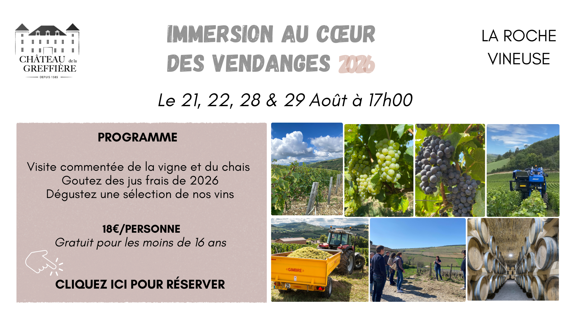 Immersion vendanges