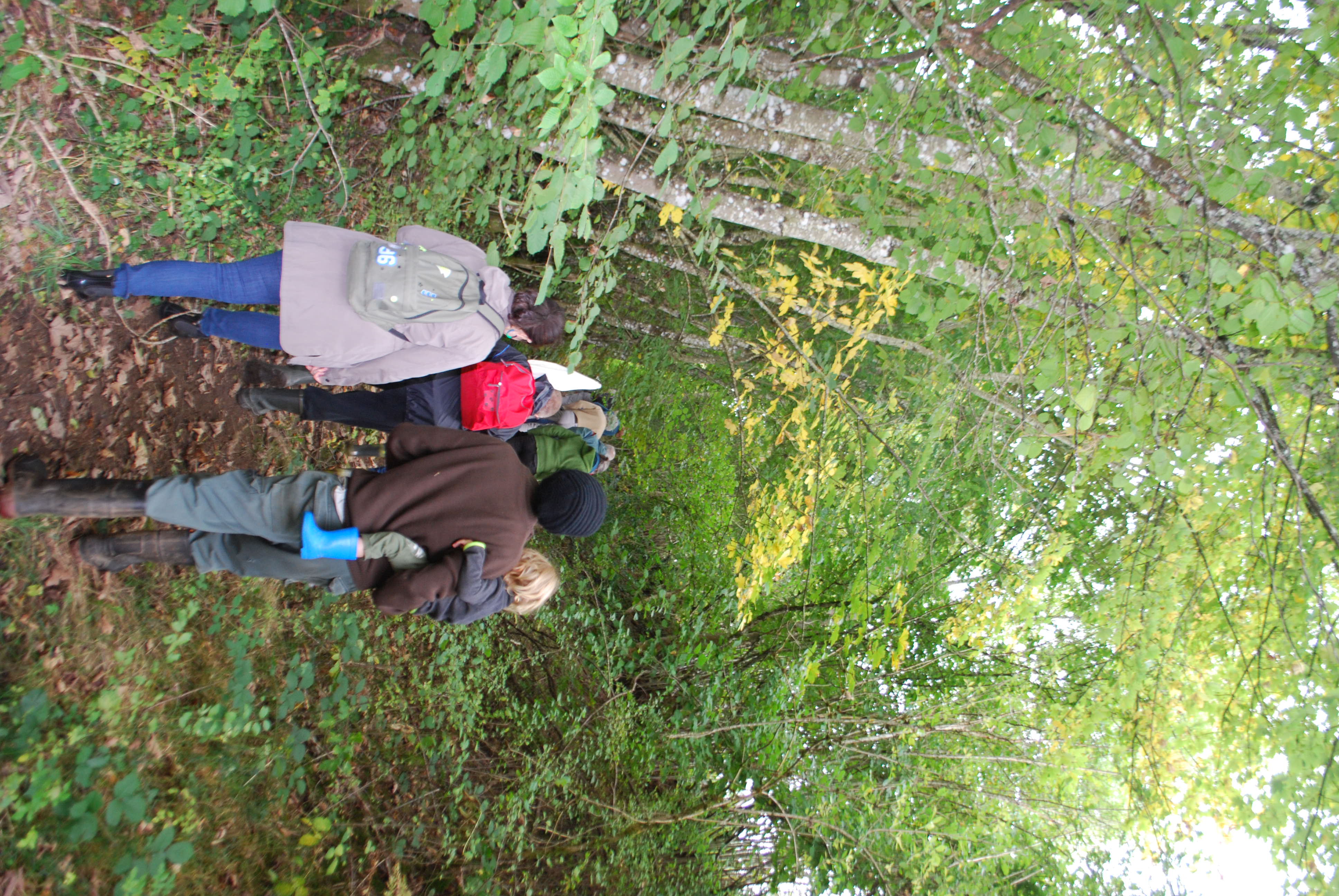 Foret ferme de Couveau