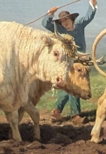 Fragment Rosa Bonheur Oct. 25