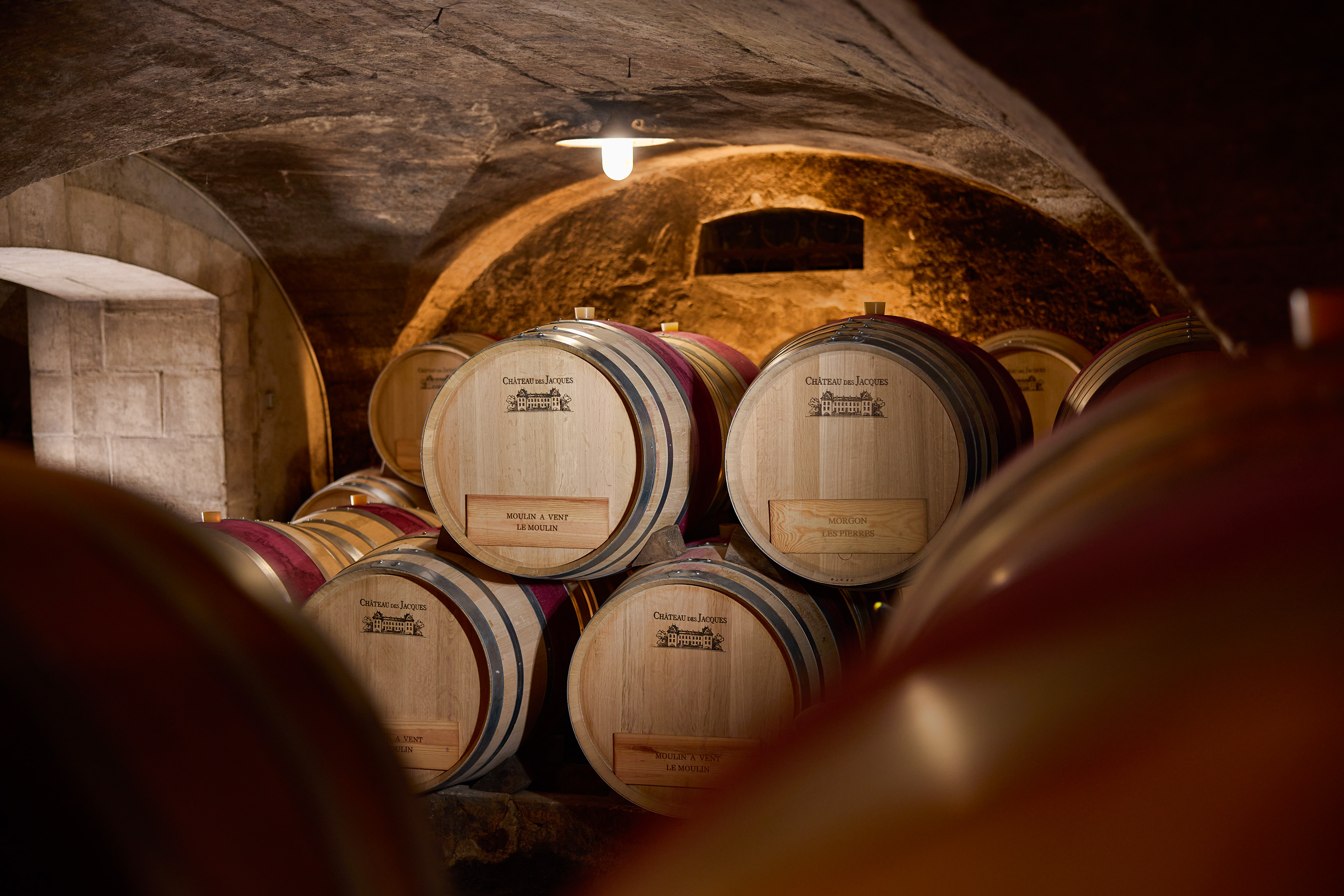 Visite et dégustation de vin au Château des Jacques