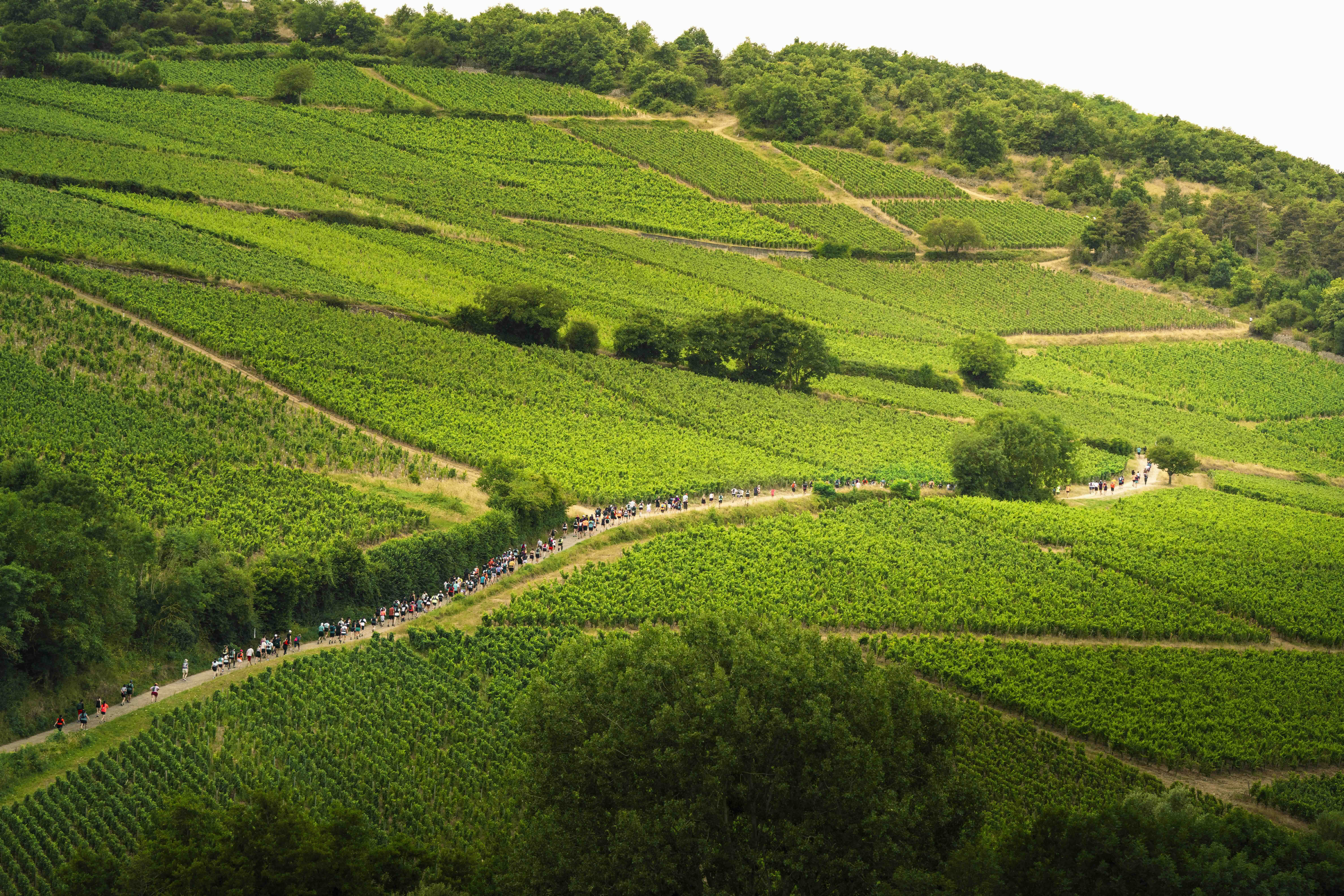 Ultra Trail des 2 Roches