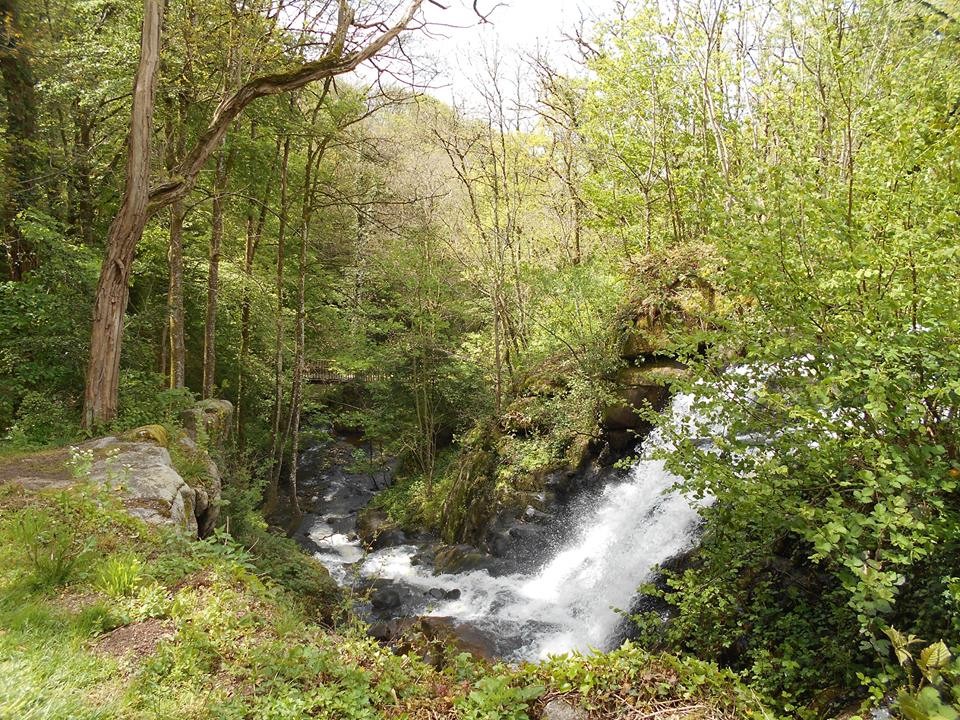 Escalade dans les Gorges de Narvau