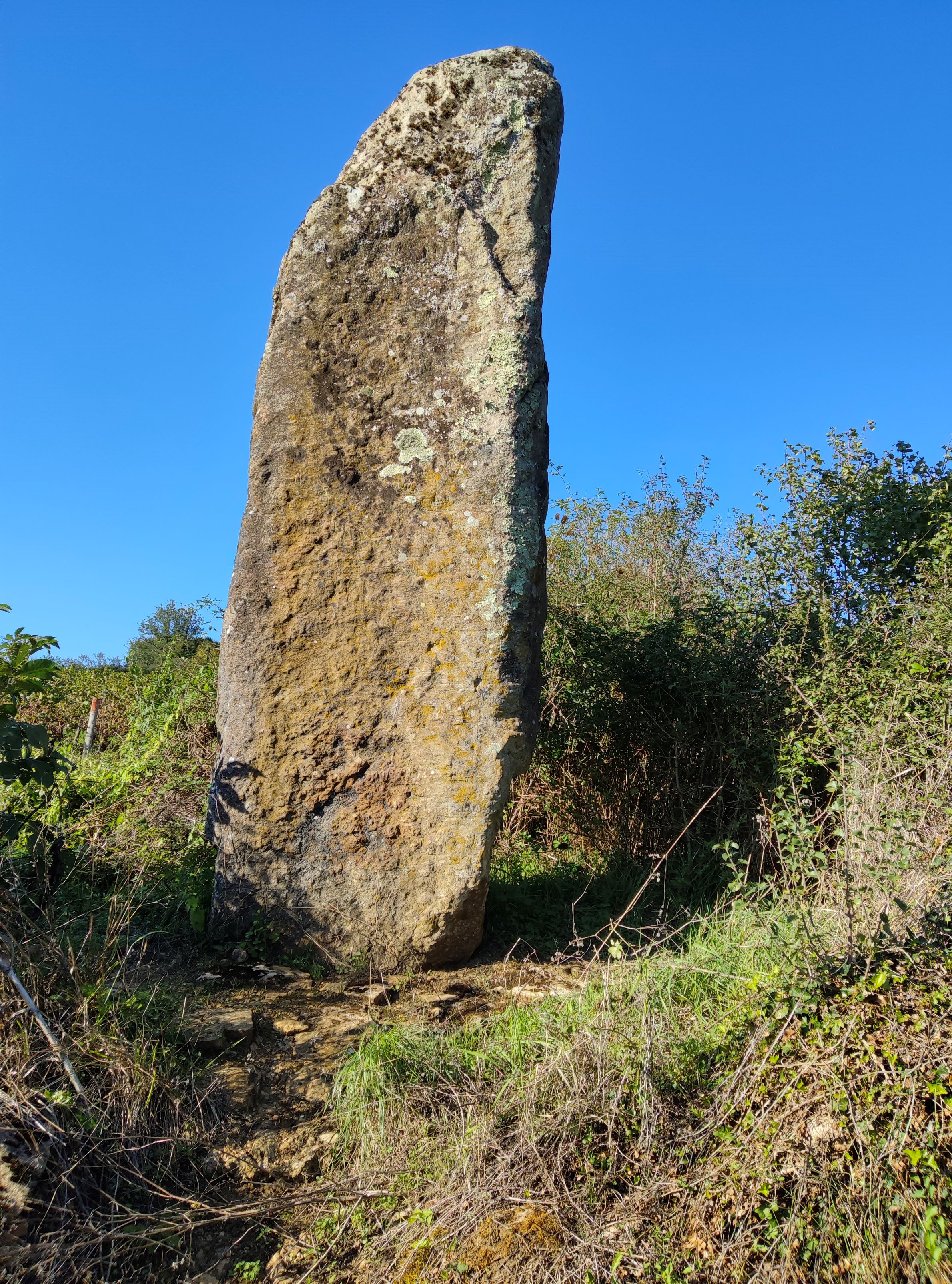 Table ronde pour la Célébration du Jubilé de l'Association de sauvegarde et de mise en valeur de Saint-Clément-sur-Guye