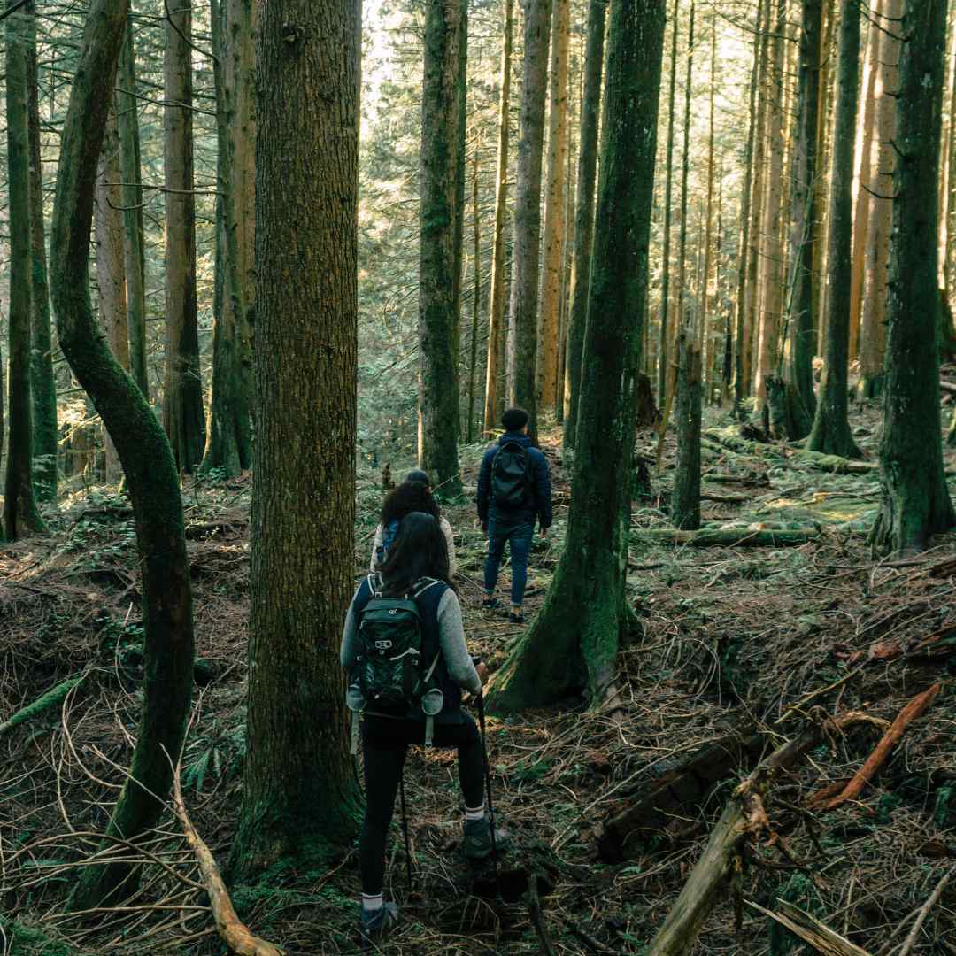 Randonneurs dans le Morvan