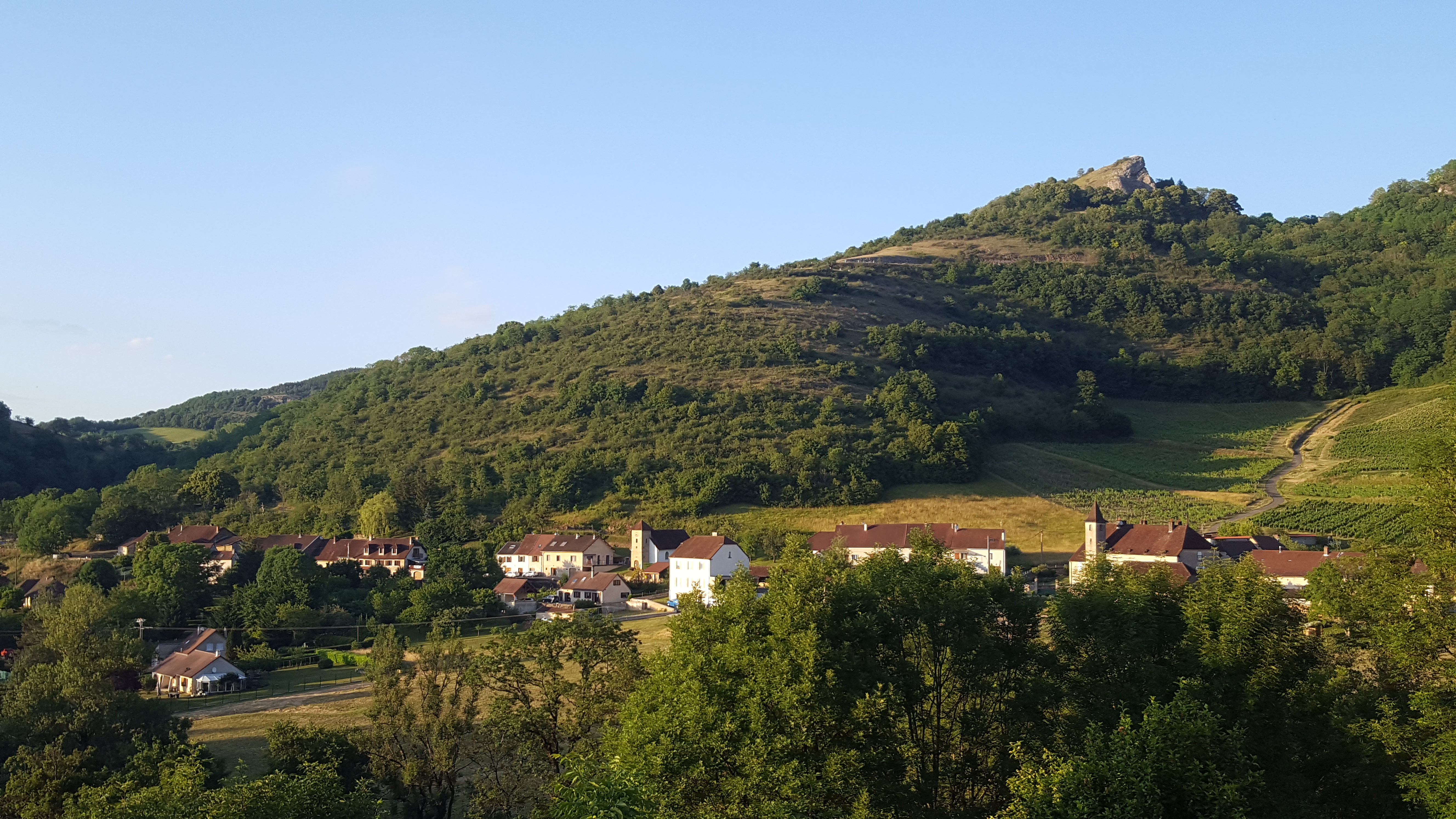 Grusse (31)