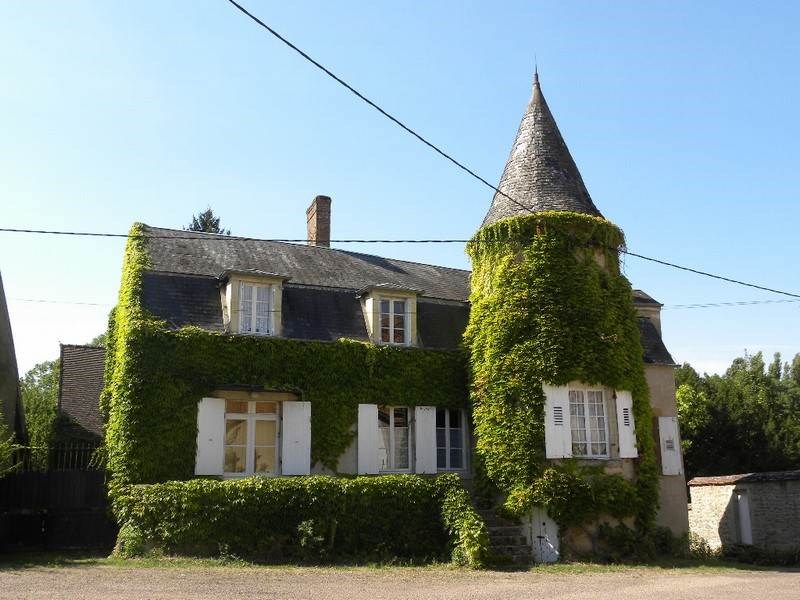 HDLT vigne vierge