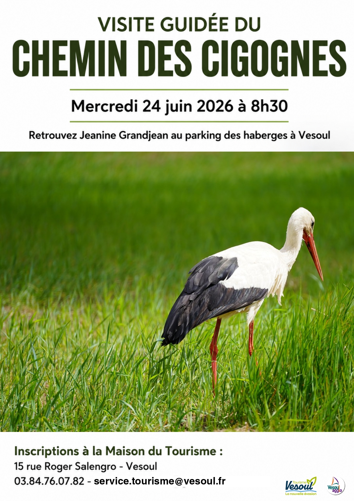 Visite guidée du chemin des cigognes