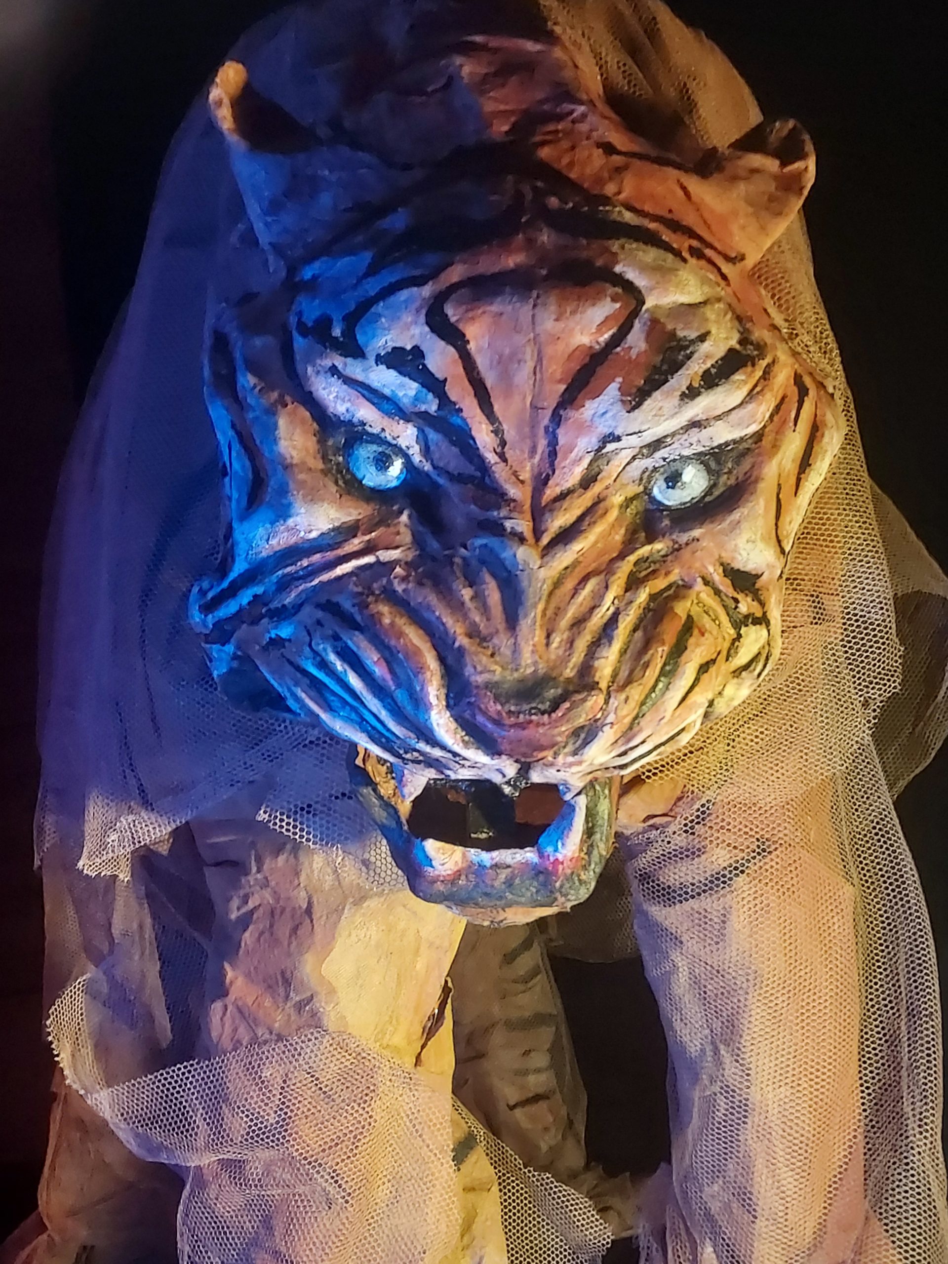 Histoires-invisibles