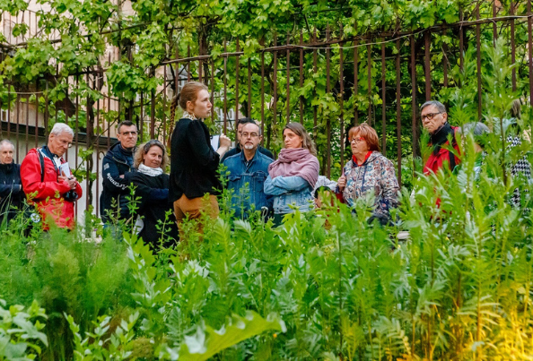 Hôtel-Dieu Hospices Civils de Beaune - Programmation