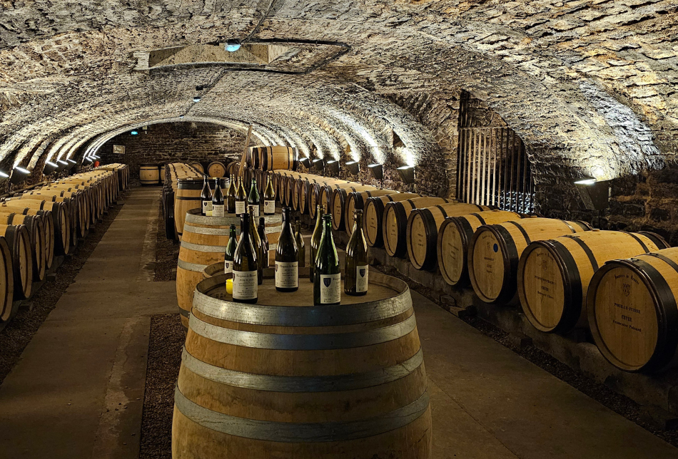 Hôtel-Dieu - Hospices de Beaune 
2026 - MOUVEMENT(S)
[MON HÔTEL-DIEU] Un livre, un vin, un histoire : raconter le territoire bourguignon