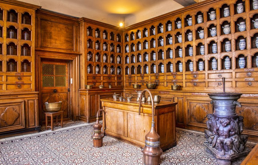 Visite costumée à l'Hôtel-Dieu de Seurre