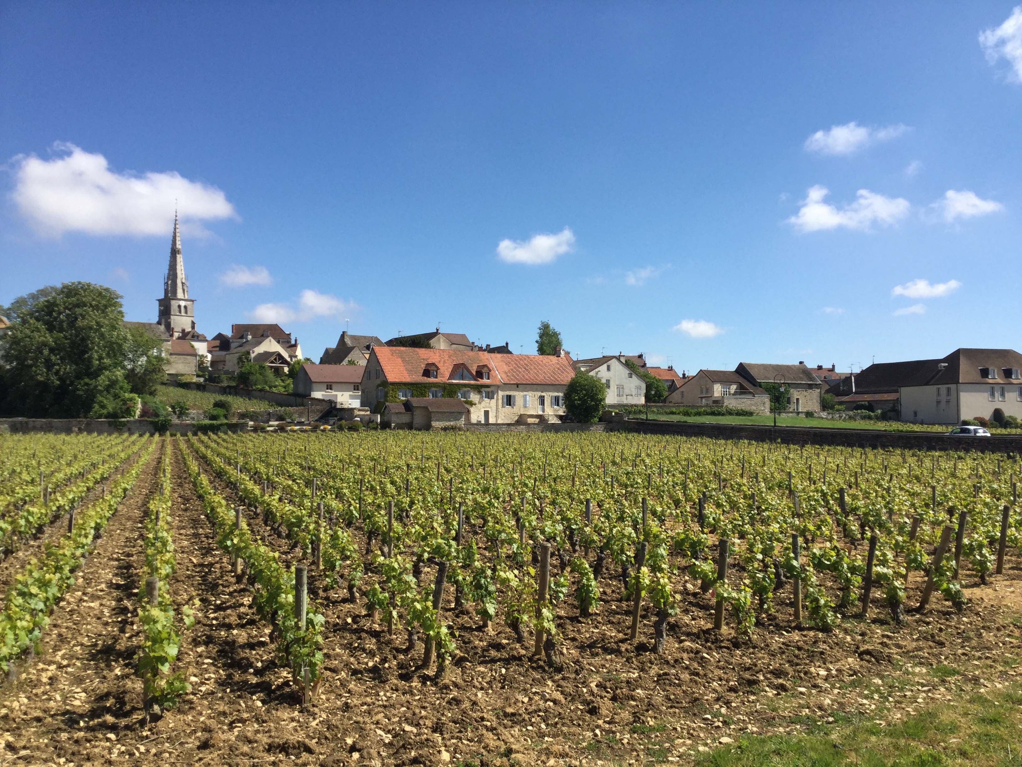 Village de Meursault