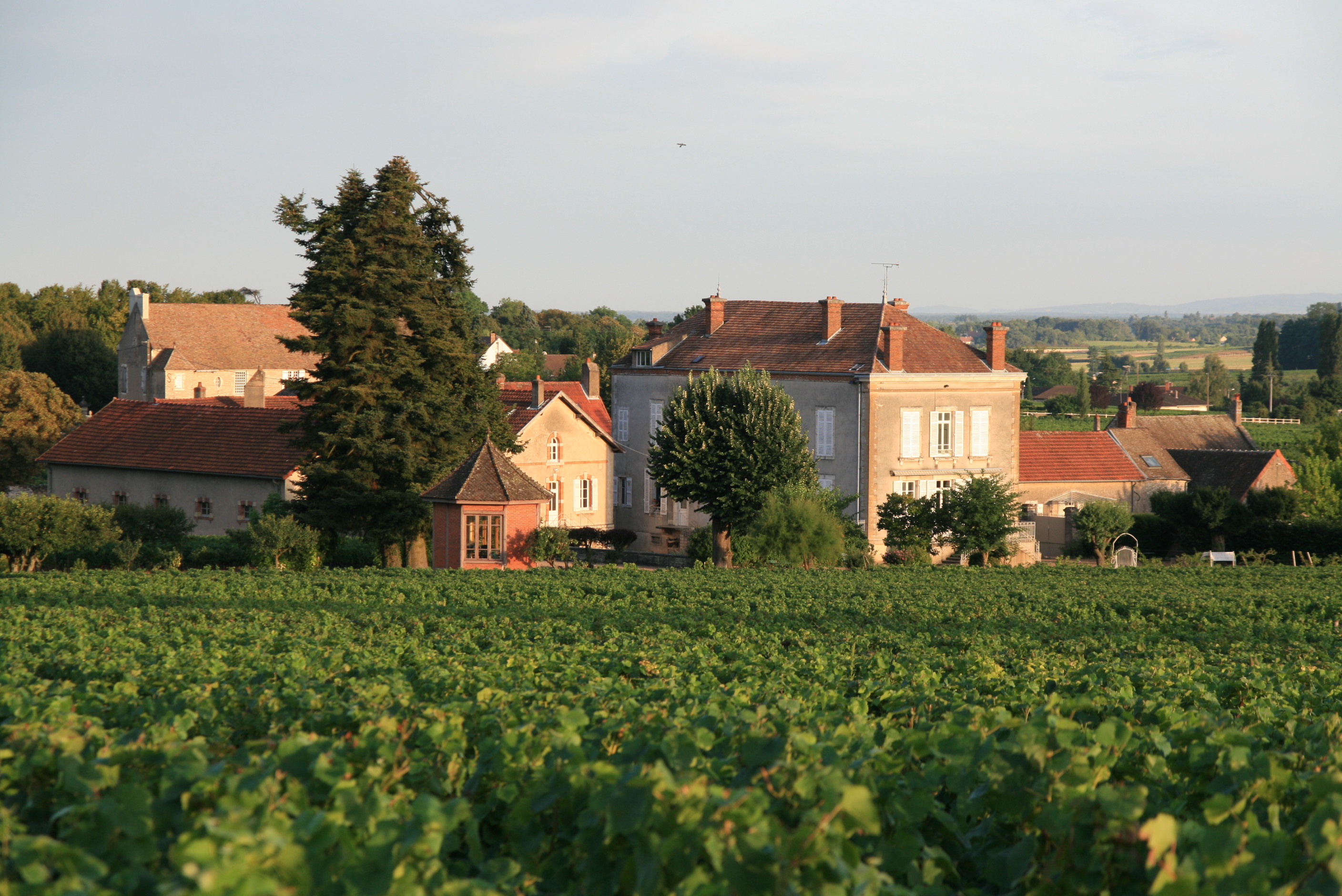 Domaine Jeannin-Naltet