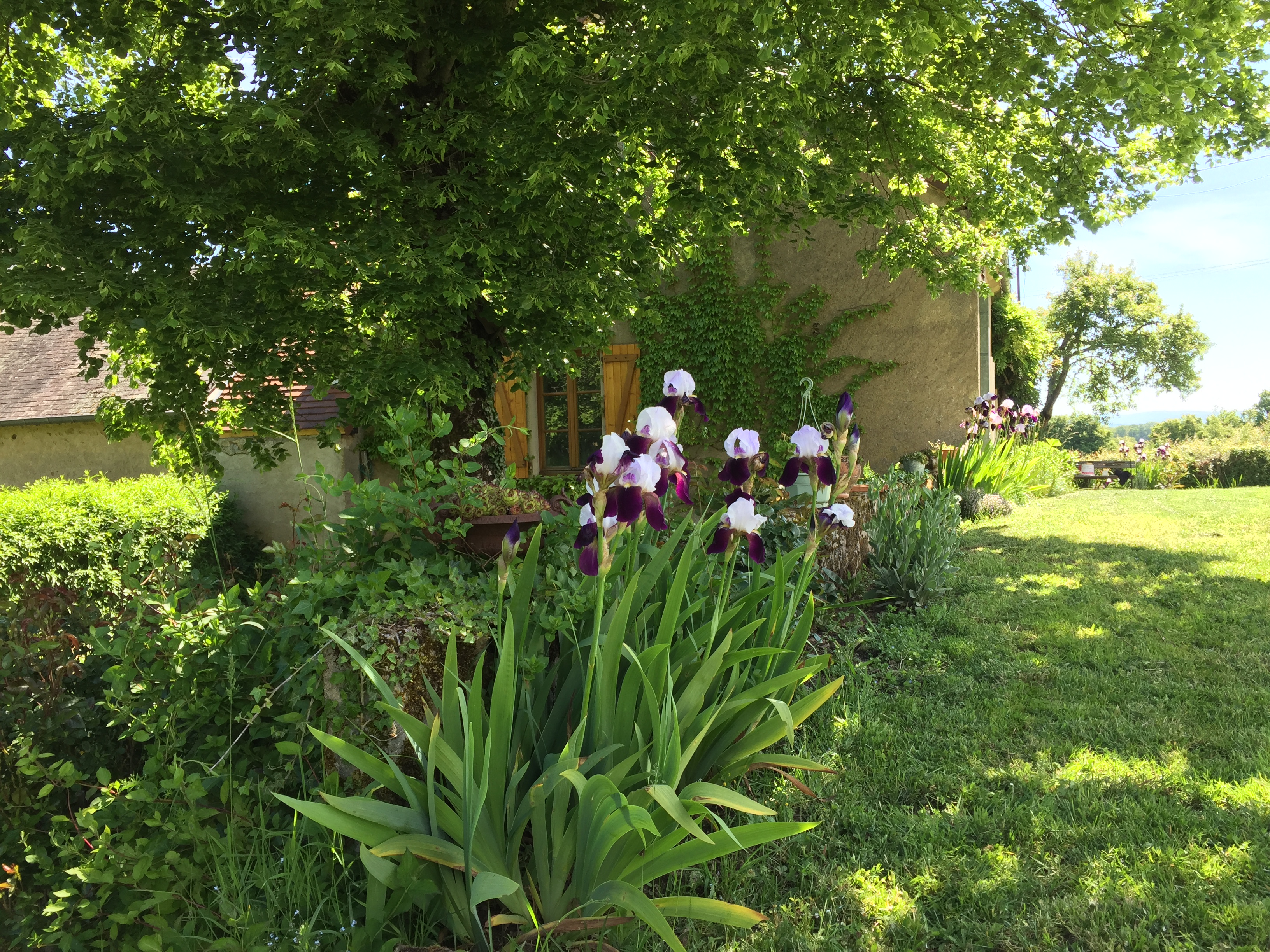 Gîte au Moulin Rameau