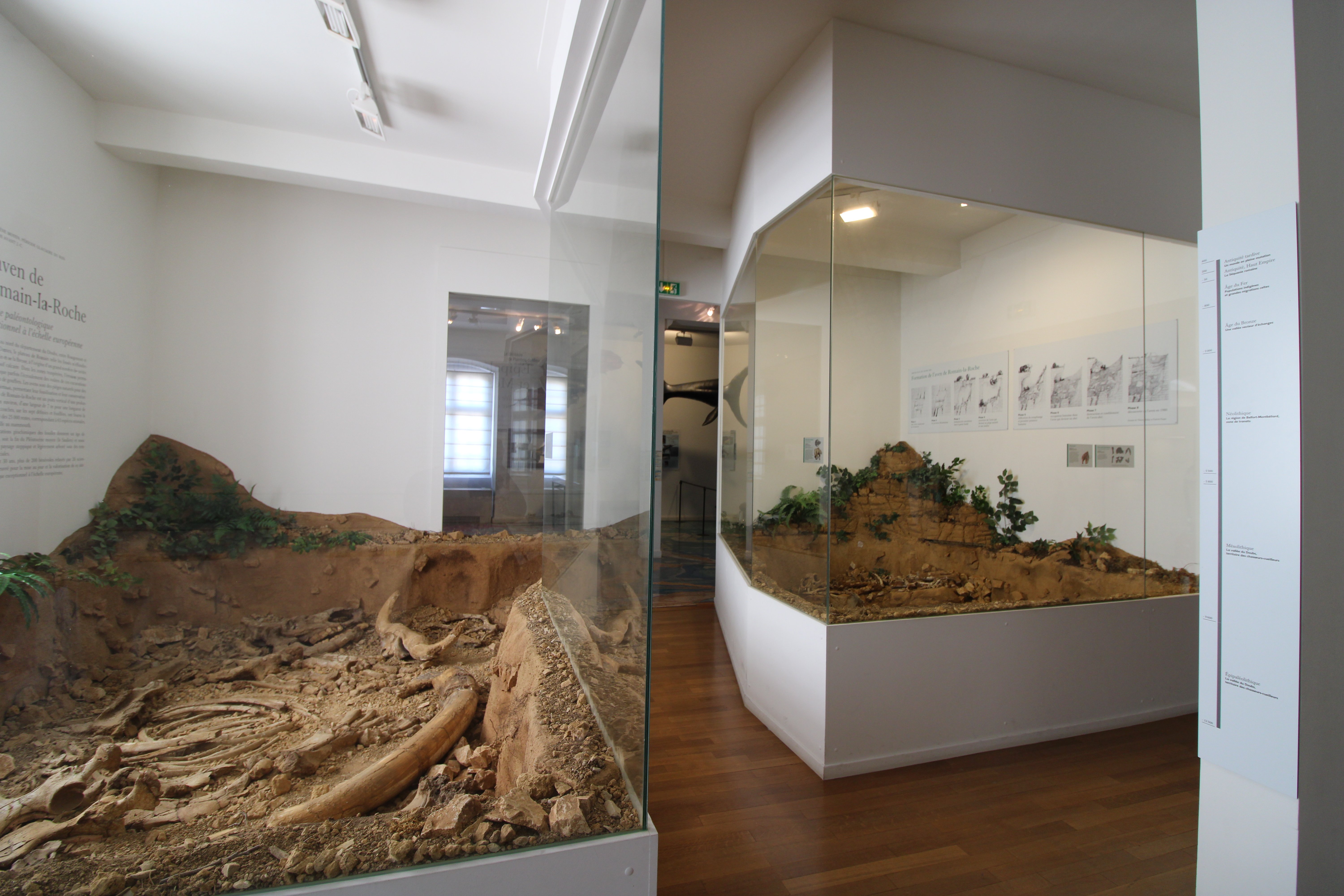 Galerie archéologique