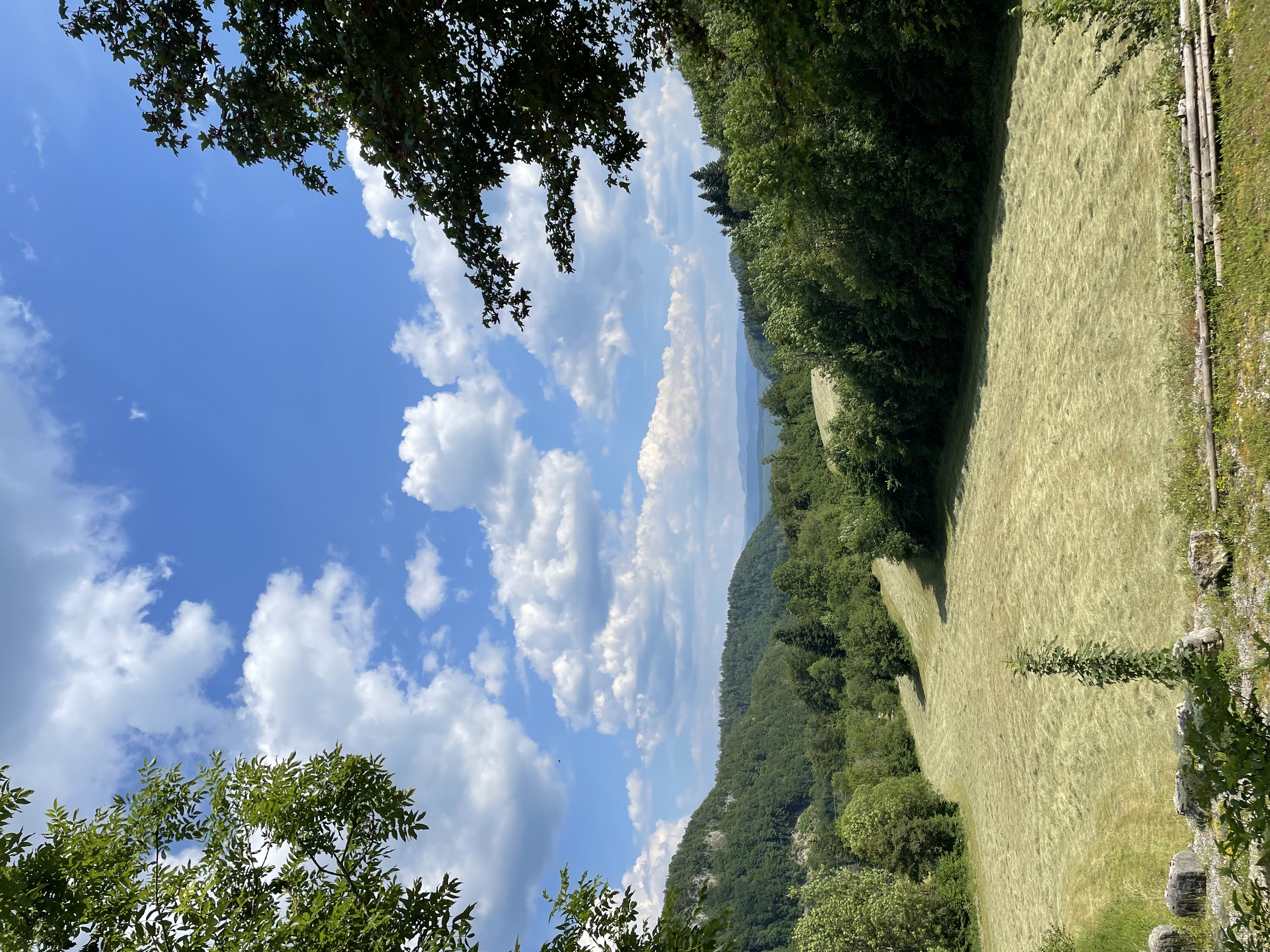 IMG-0346