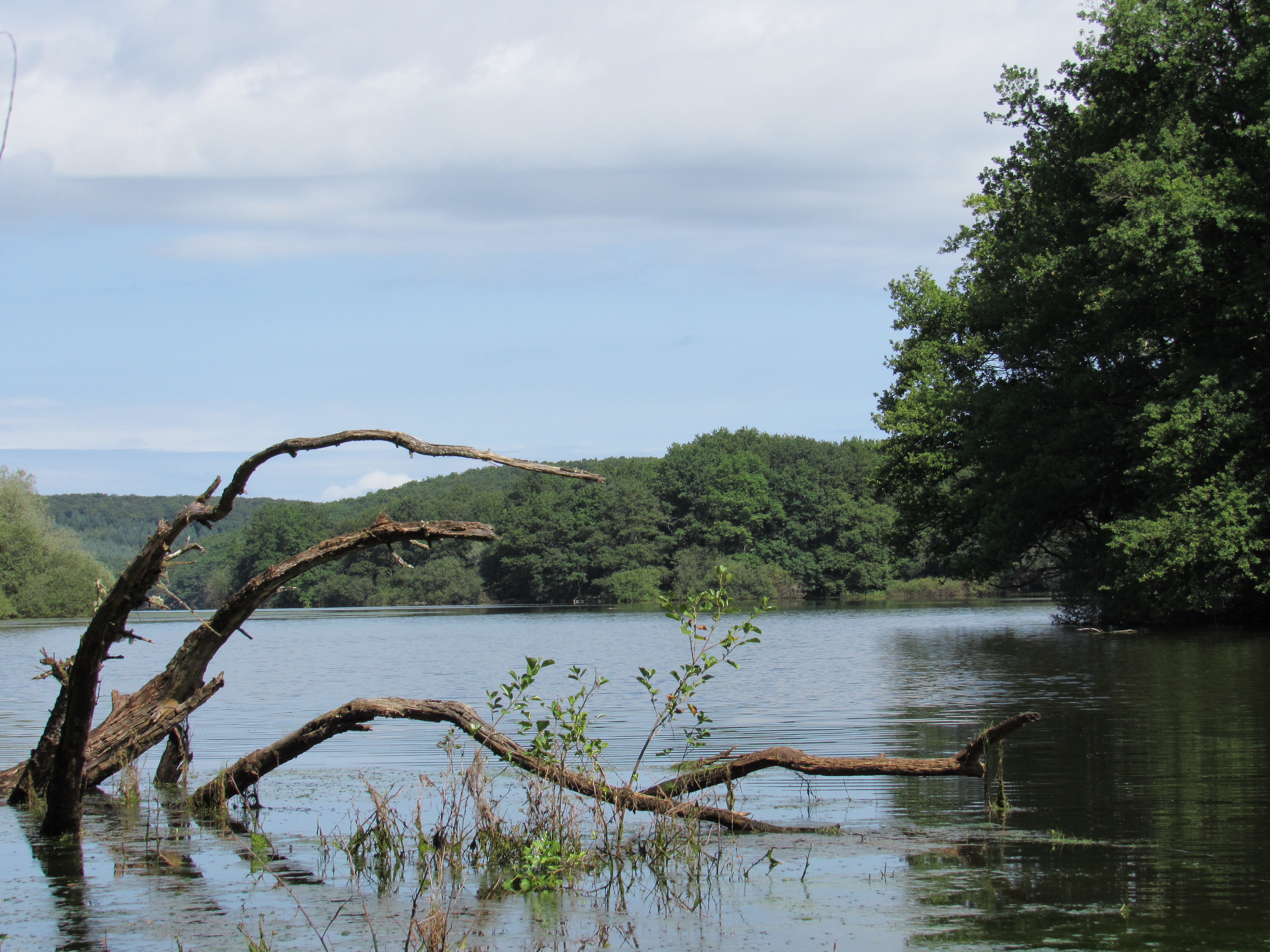 Le Printemps des ENS de Saône-et-Loire: la retenue d'eau du Pont du Roi.