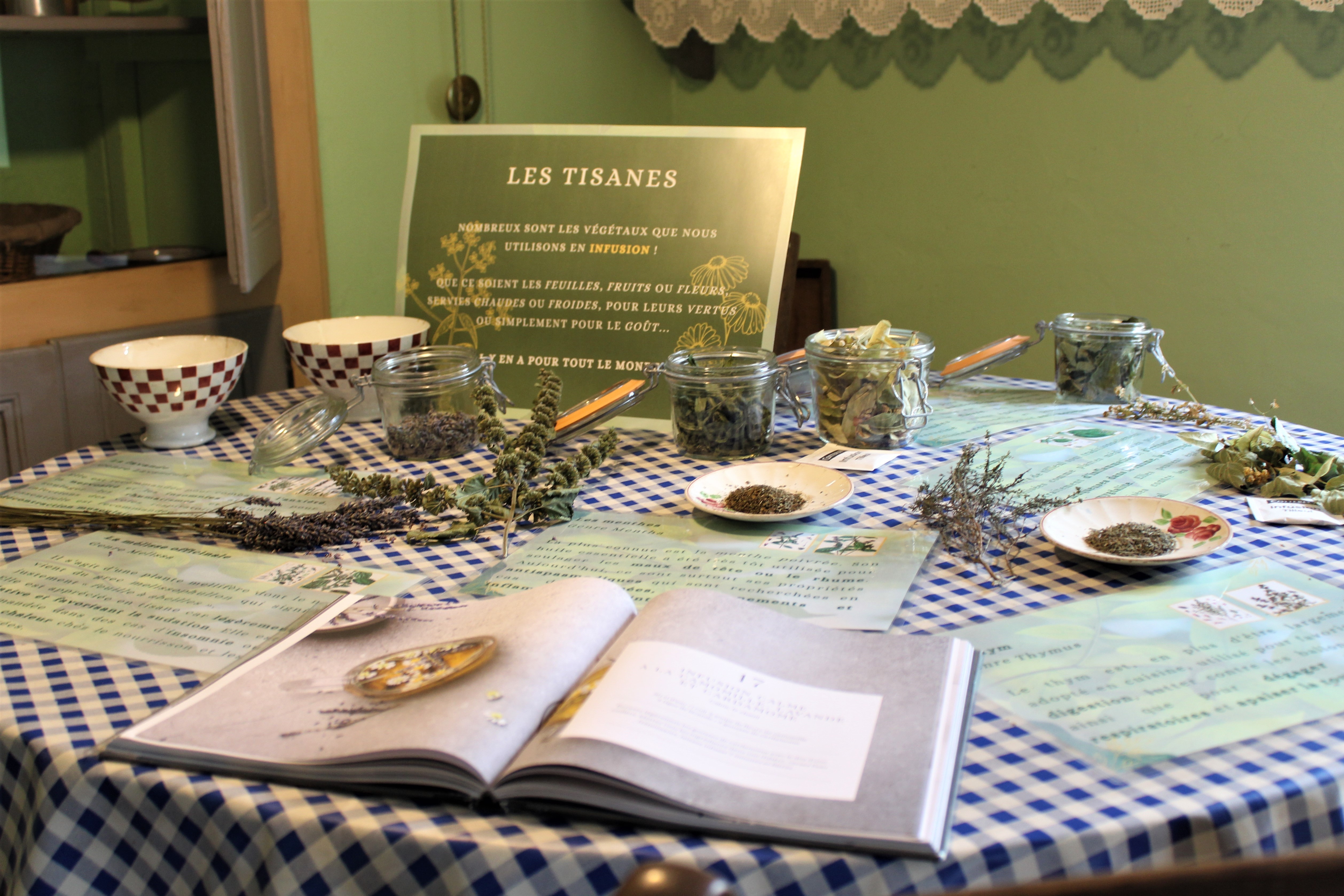 Photo Pépites Végétales 2023