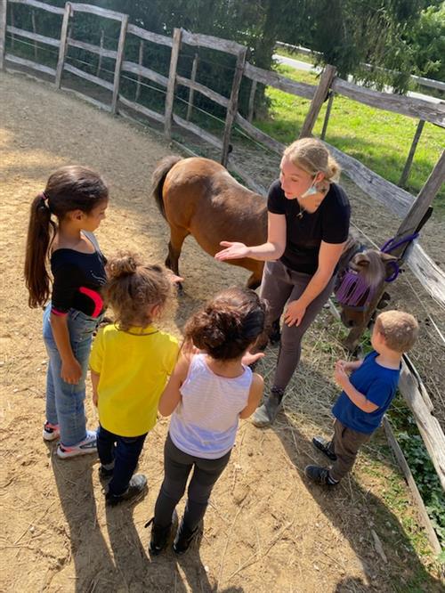 Le petit ranch de Jenni