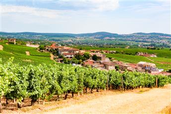 Fuissé, une passion des hommes pour la vigne