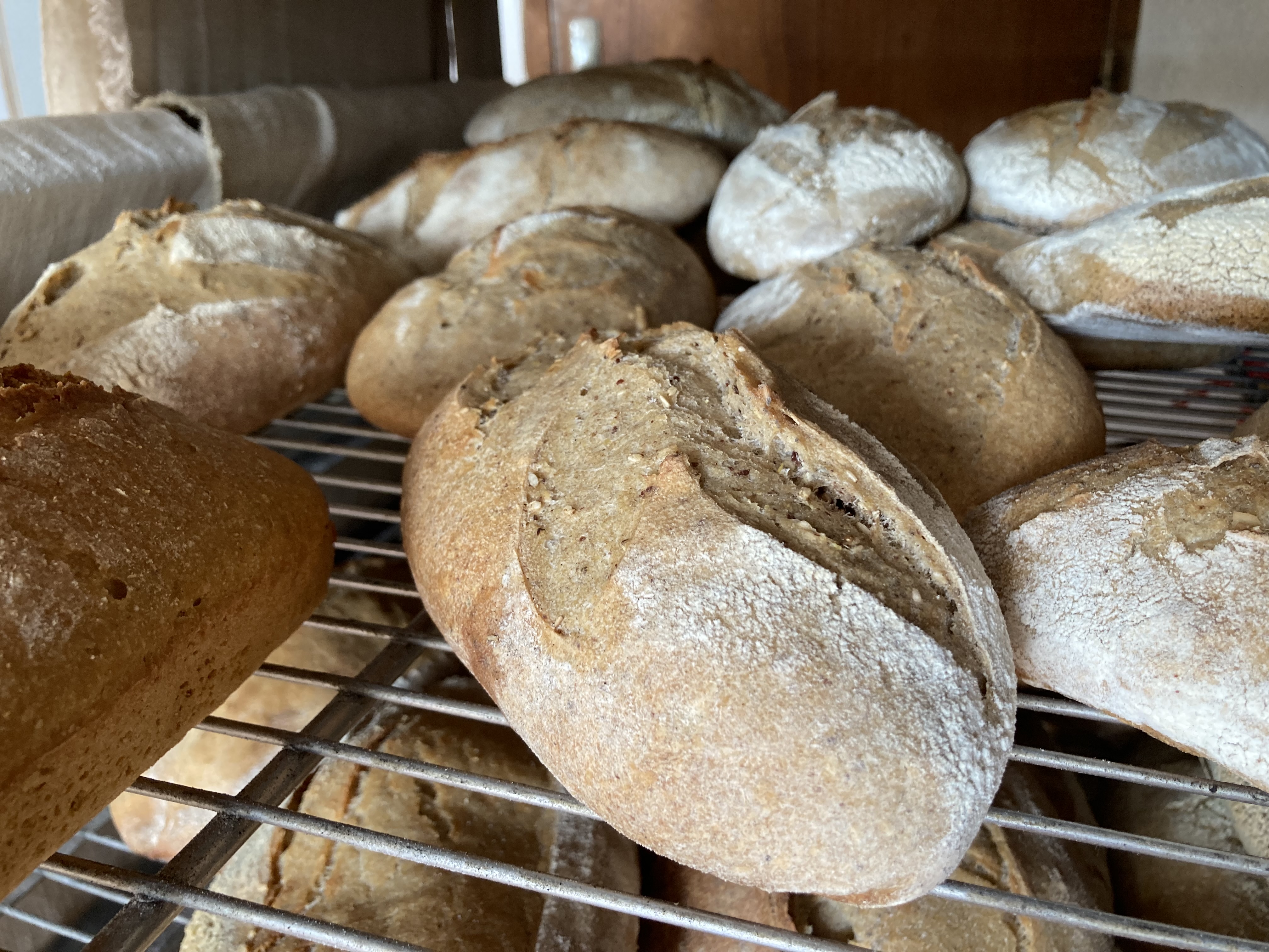 Visite du Fournil de Brienne