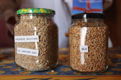 Les visites du Moulin à vent Les éventées