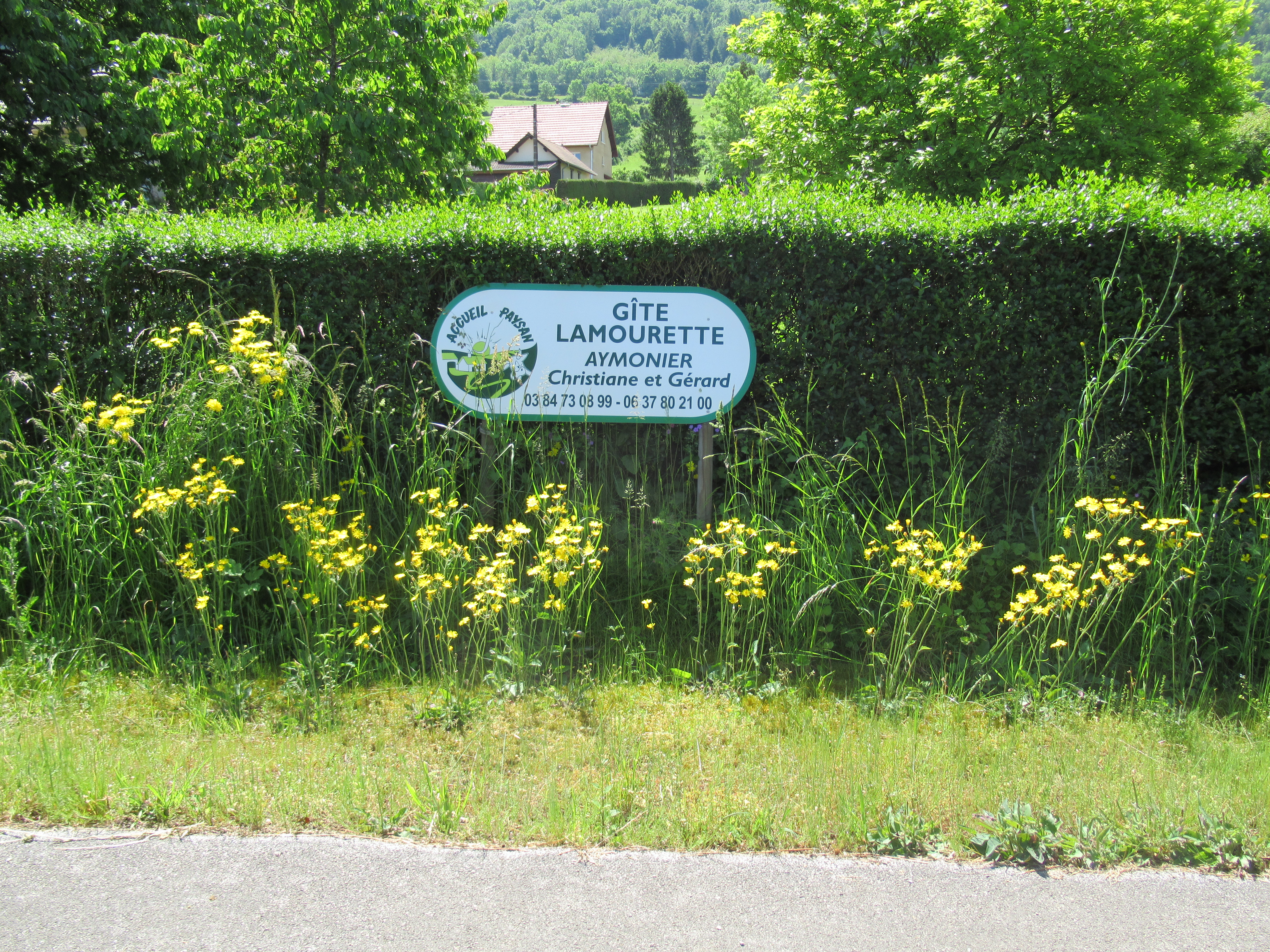 Lamourette