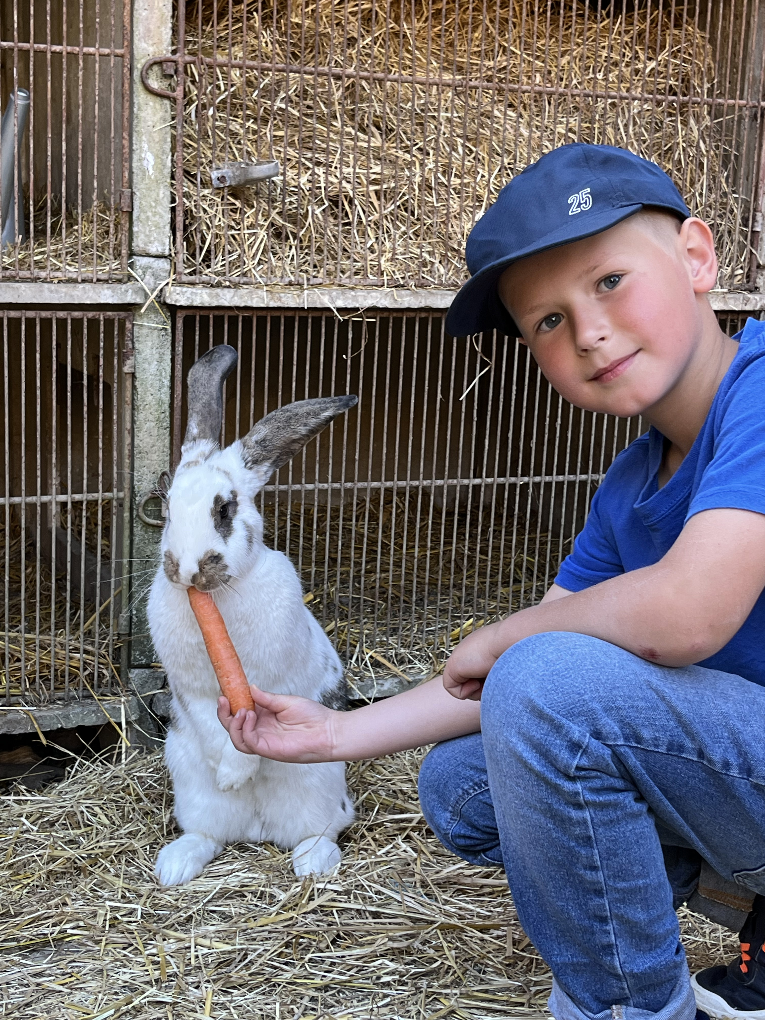 FERME DU CHATEAU - STAGE LAPIN