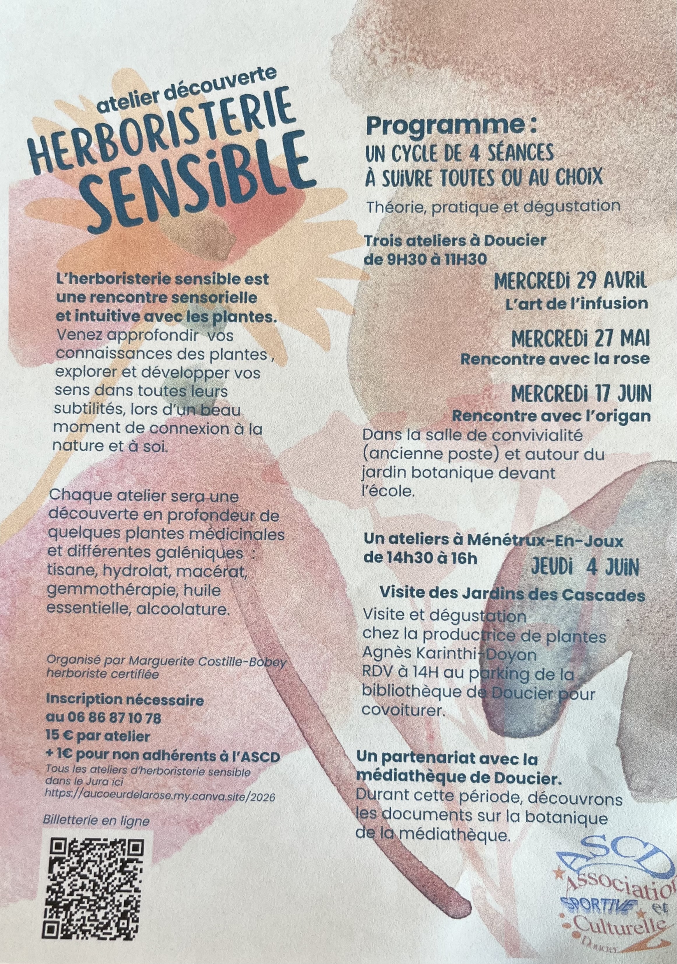 Ateliers découverte - Herboristerie sensible