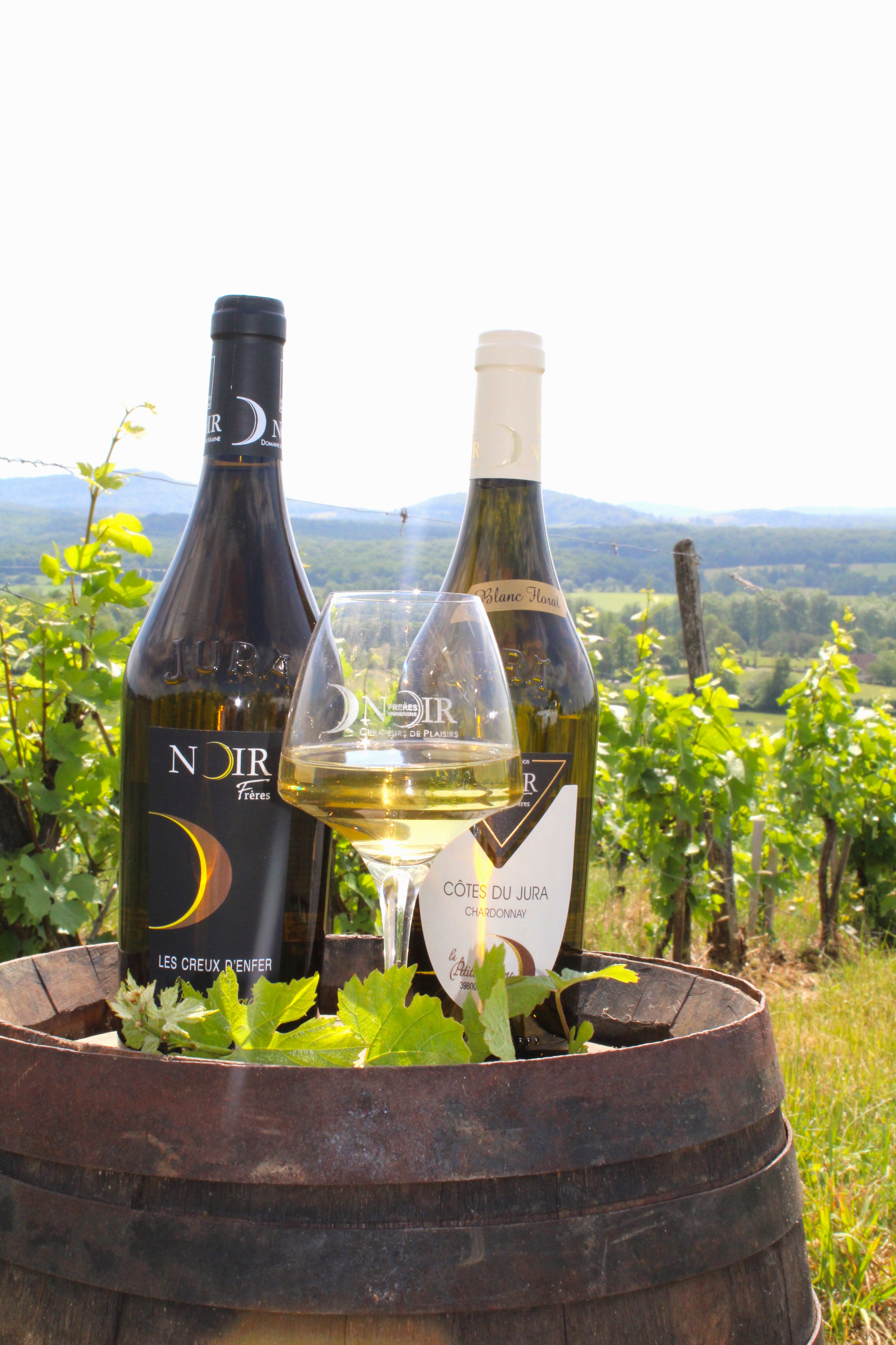 De la vigne au verre
