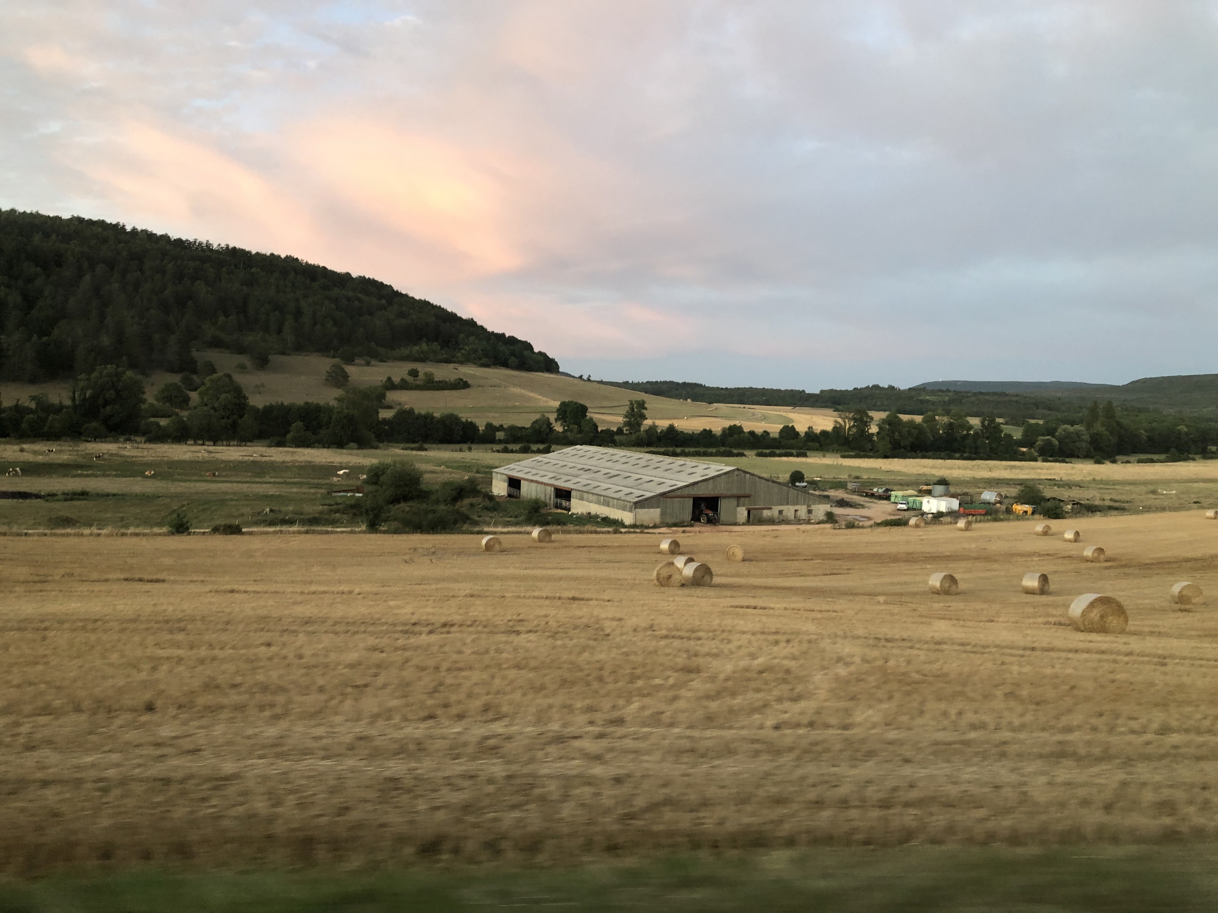 Découverte exploitation laitière Prâlon 4