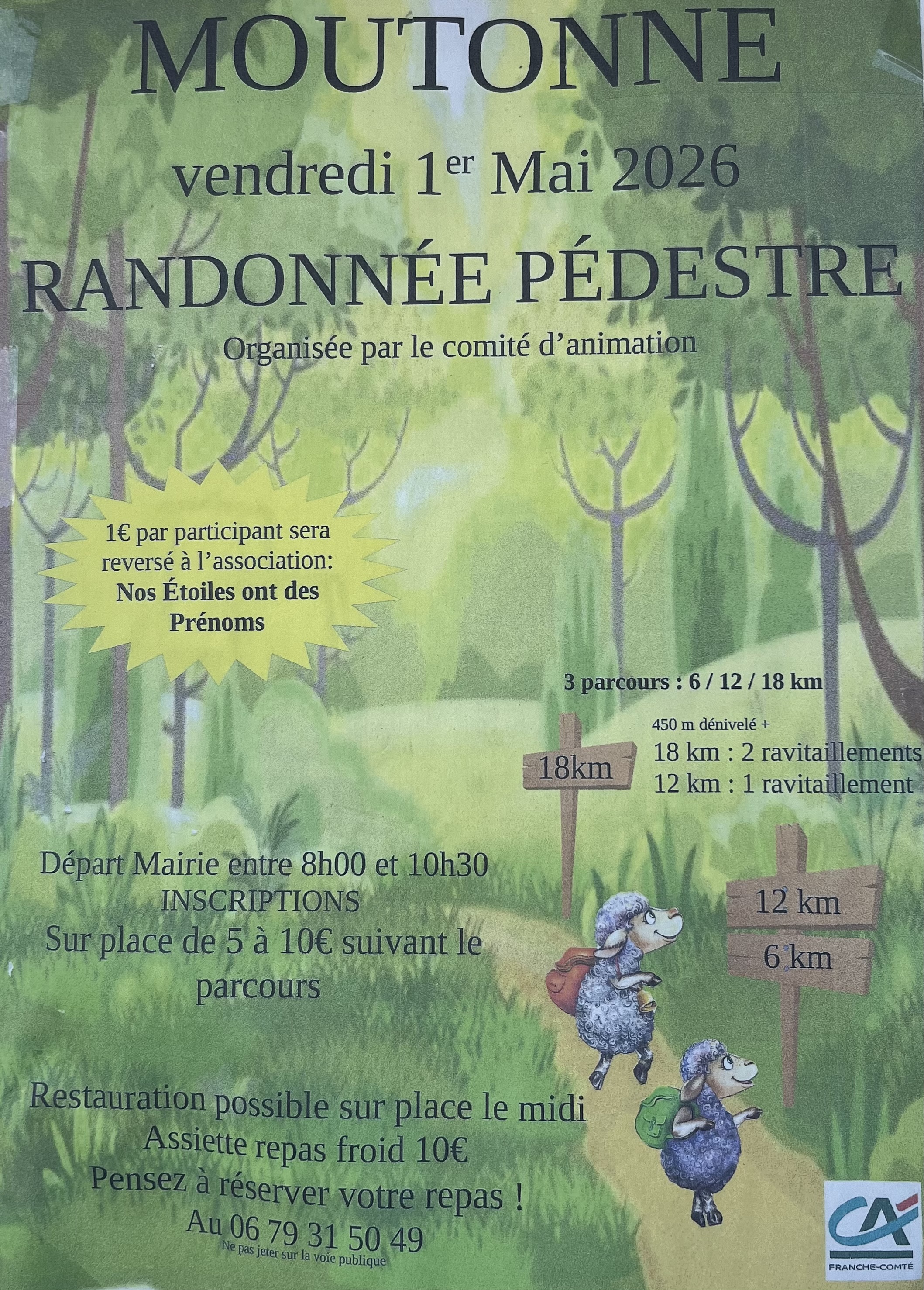 Randonnée pedestre