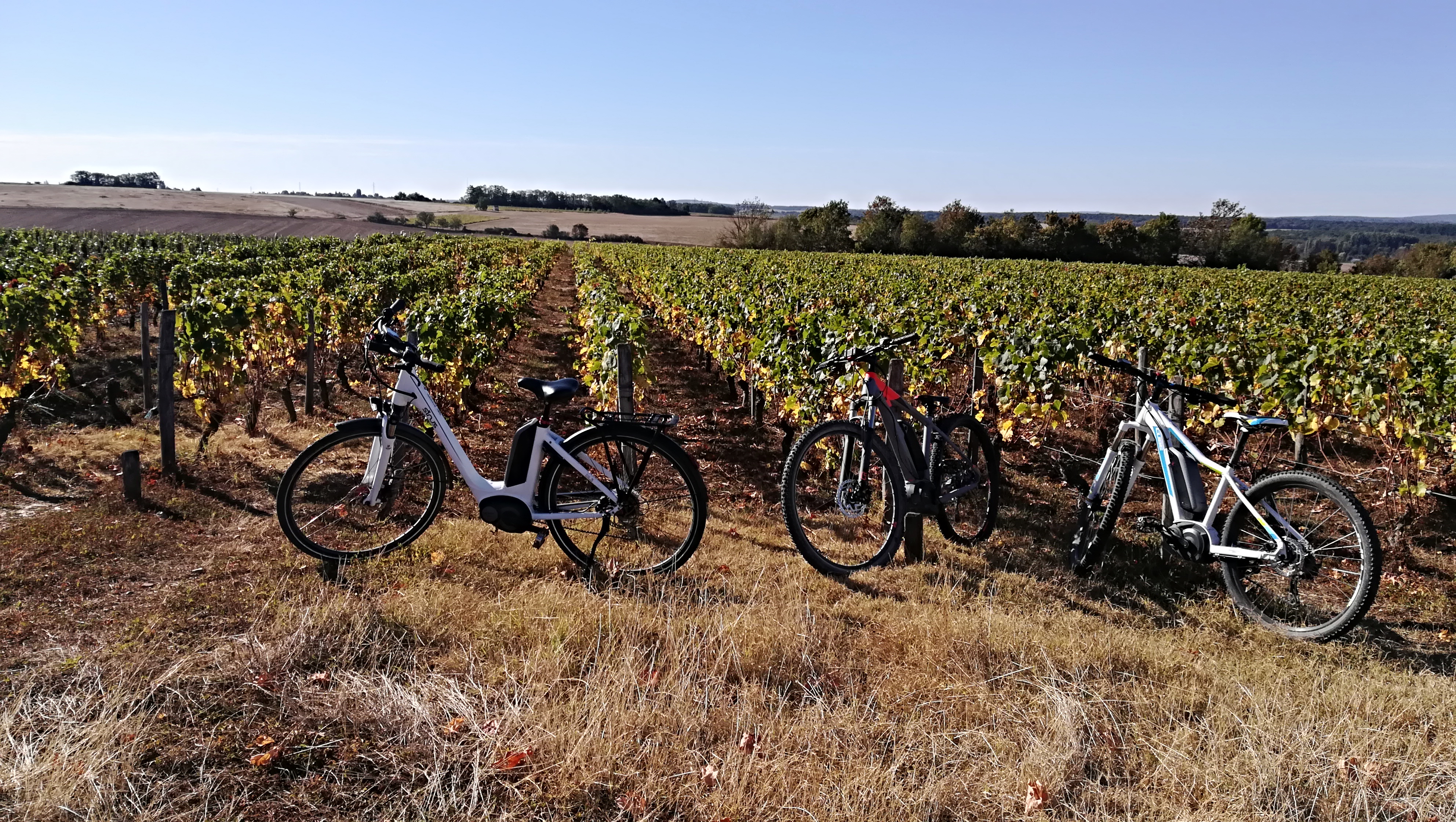 Circuit vélo : de Cosne-Cours-sur-Loire à Pouilly-sur-Loire