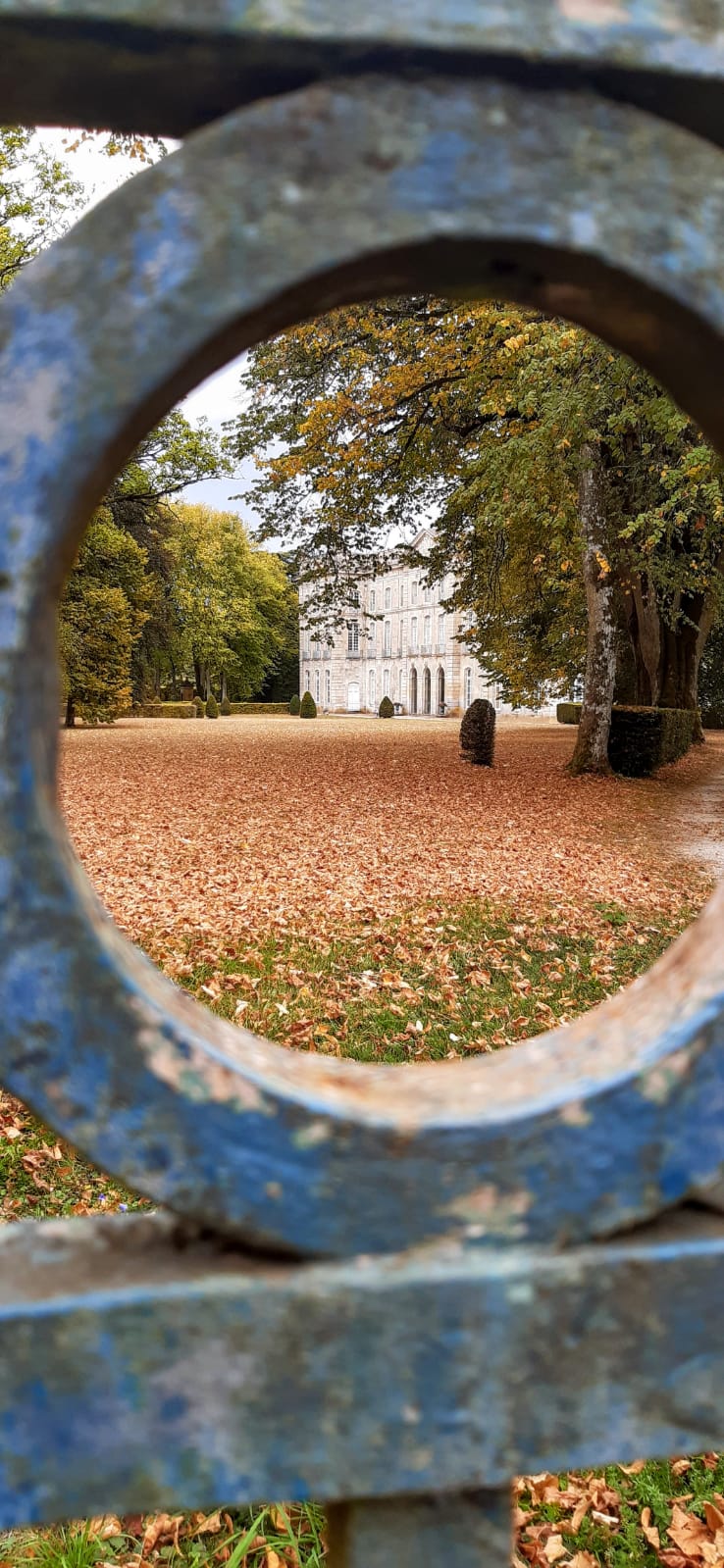 Château et collégiale Saint-Jean — image 7