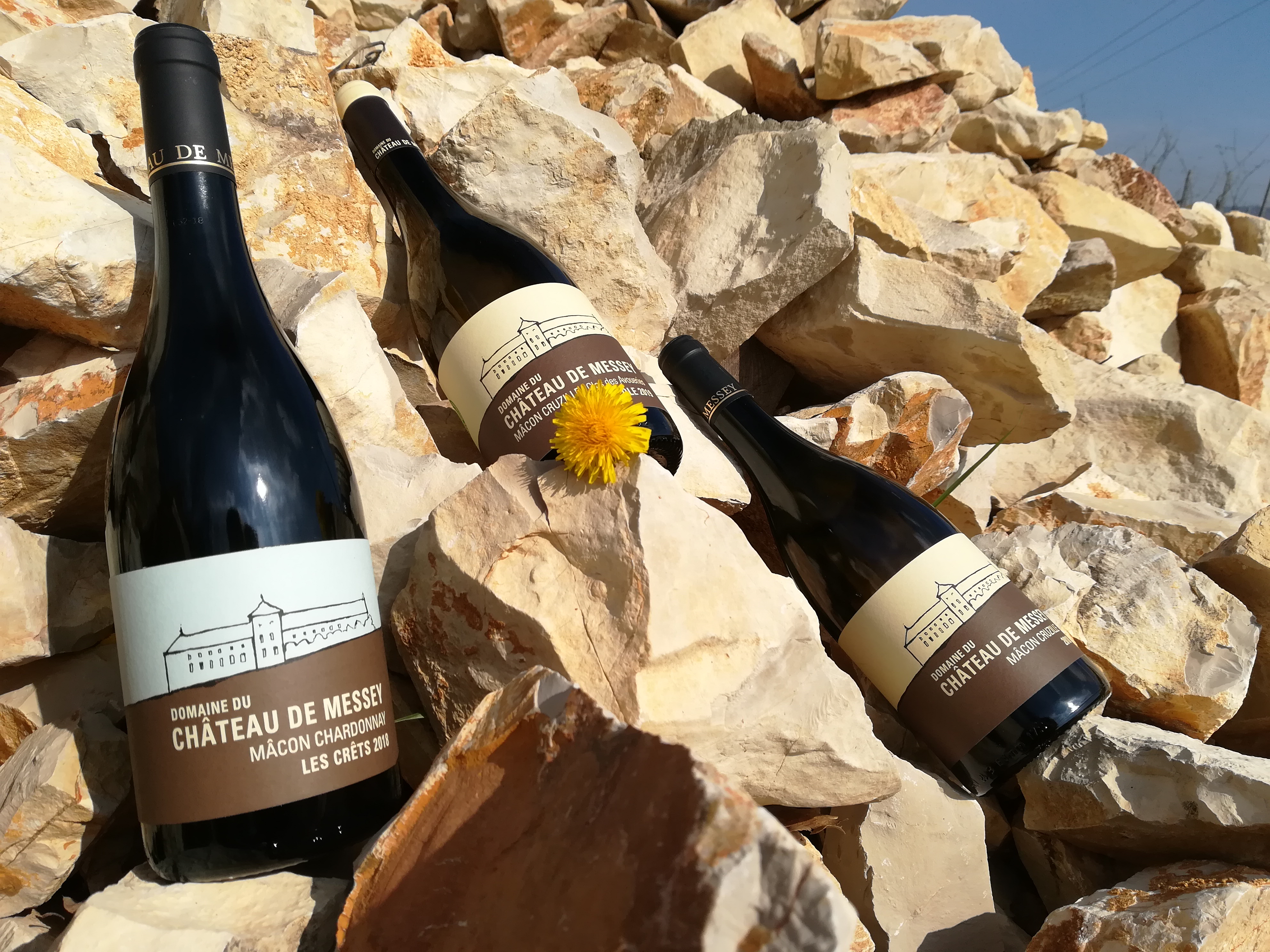 parcelle Mâcon Chardonnay