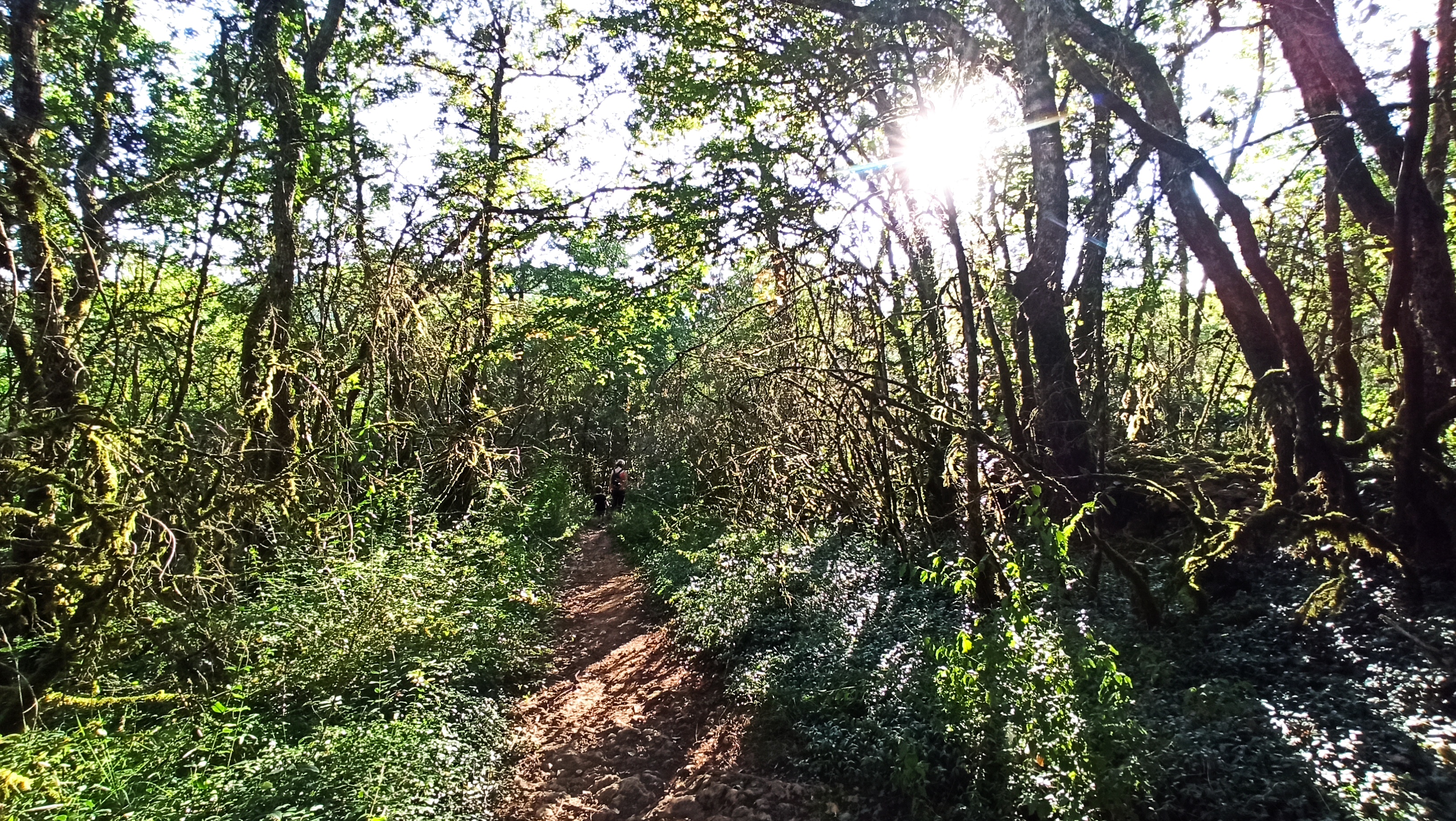 Le Printemps des ENS de Saône-et-Loire : l’ENS d’Azé, du toit des grottes à la Mouge